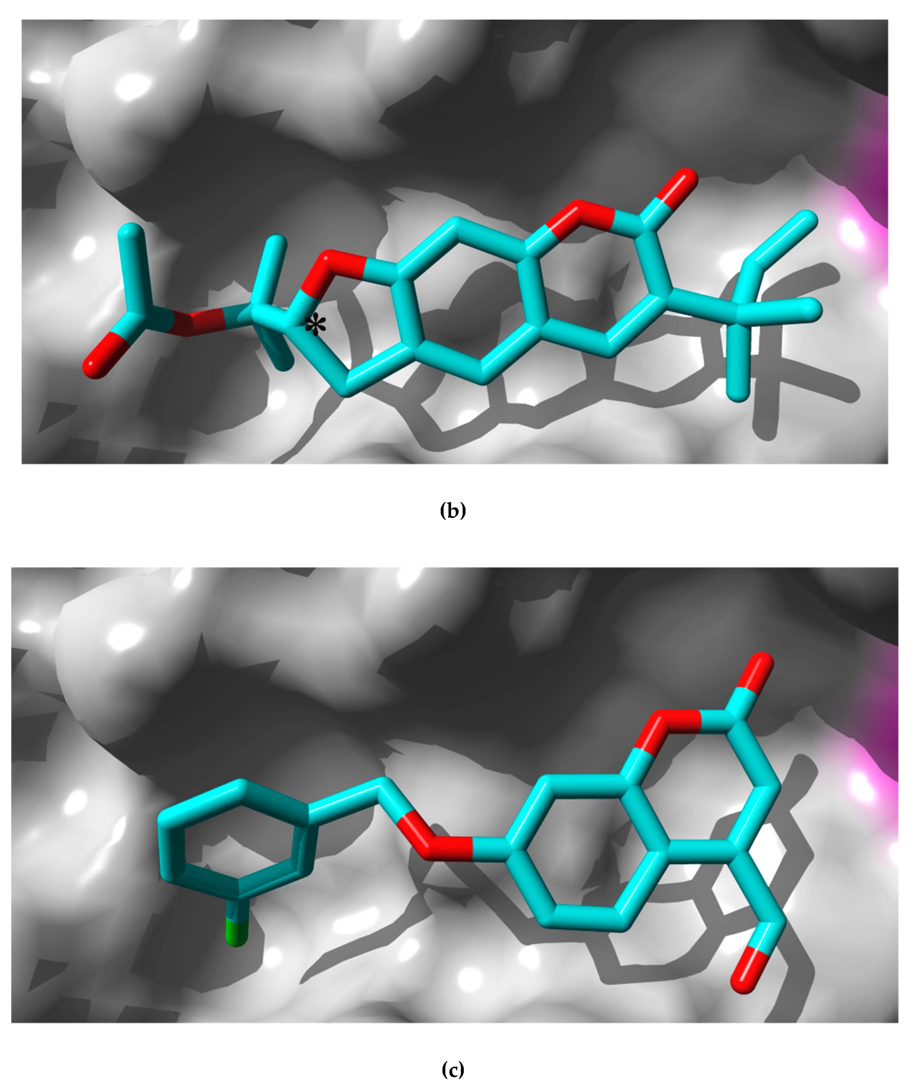 Molecules 25 02678 g003b Molecules 25 02678 g003b