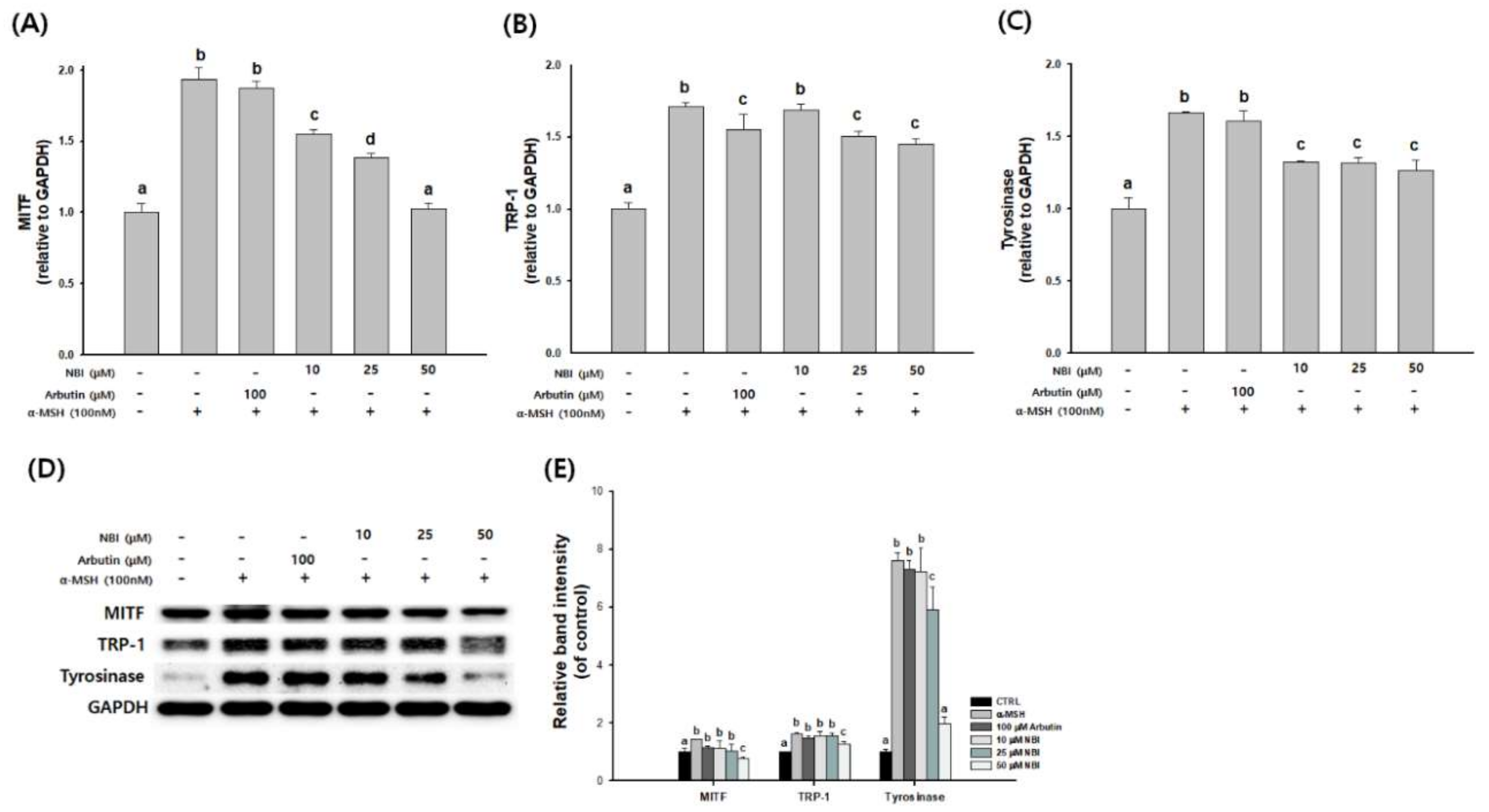 Molecules 25 02683 g006