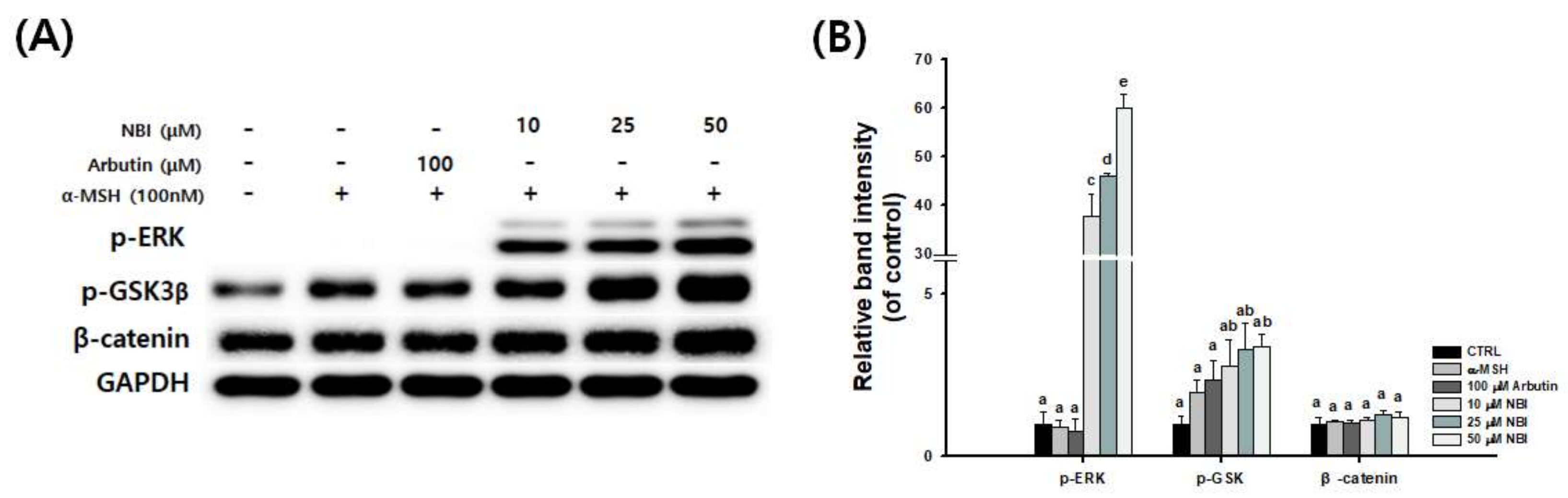 Molecules 25 02683 g007