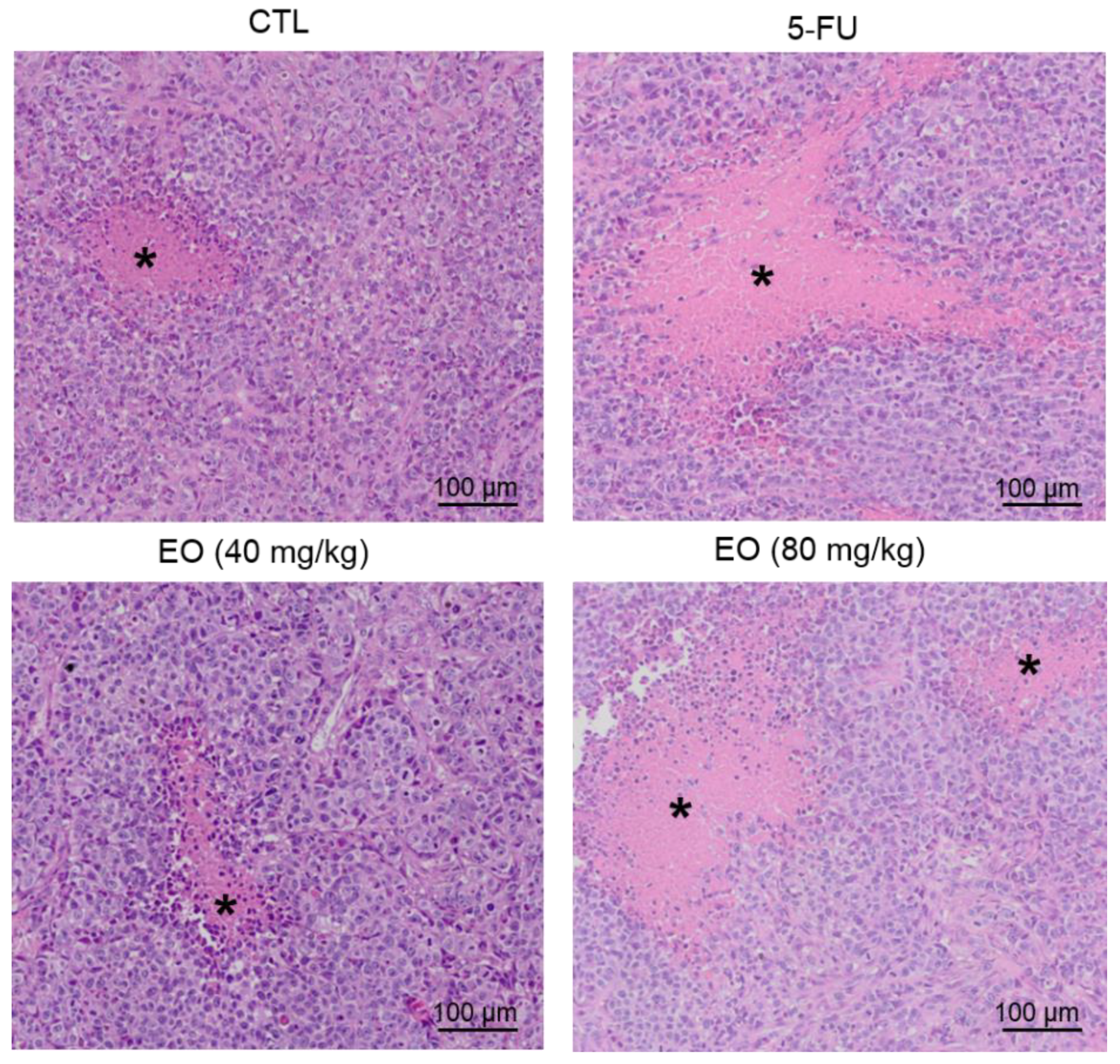 Molecules 25 02687 g008 Molecules 25 02687 g008