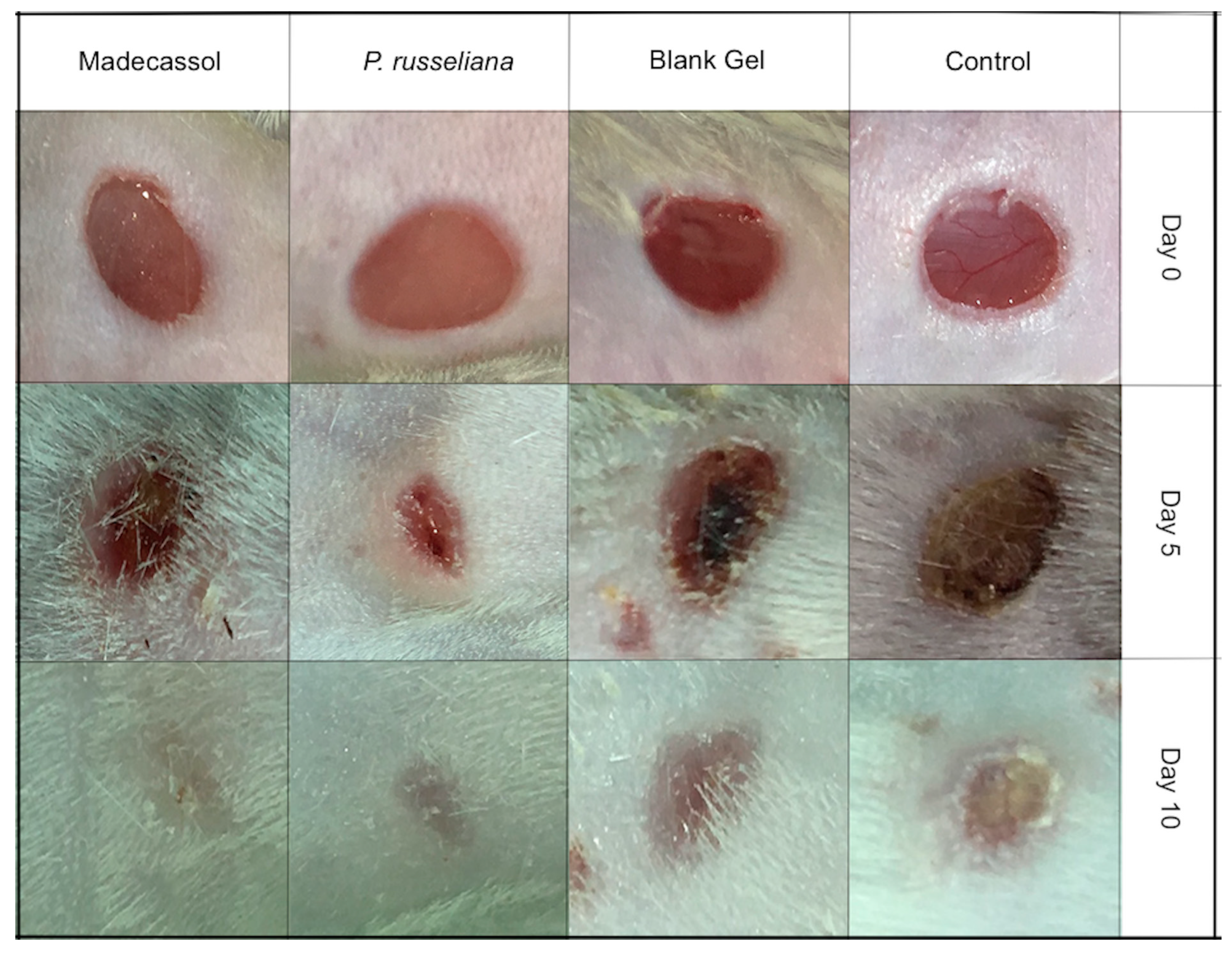 Molecules 25 02695 g004