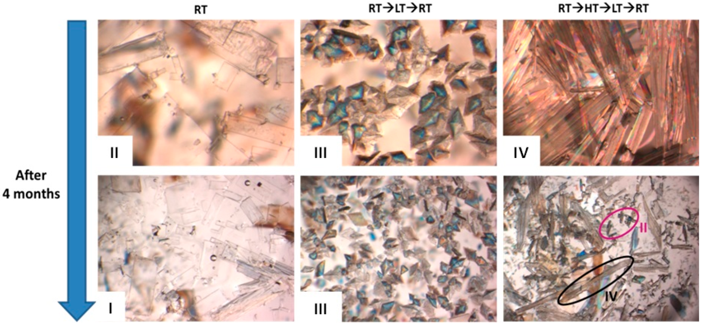 Molecules 25 02705 g003 Molecules 25 02705 g003
