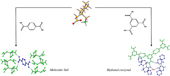 Molecules | Free Full-Text | The Lisbon Supramolecular Green Story 