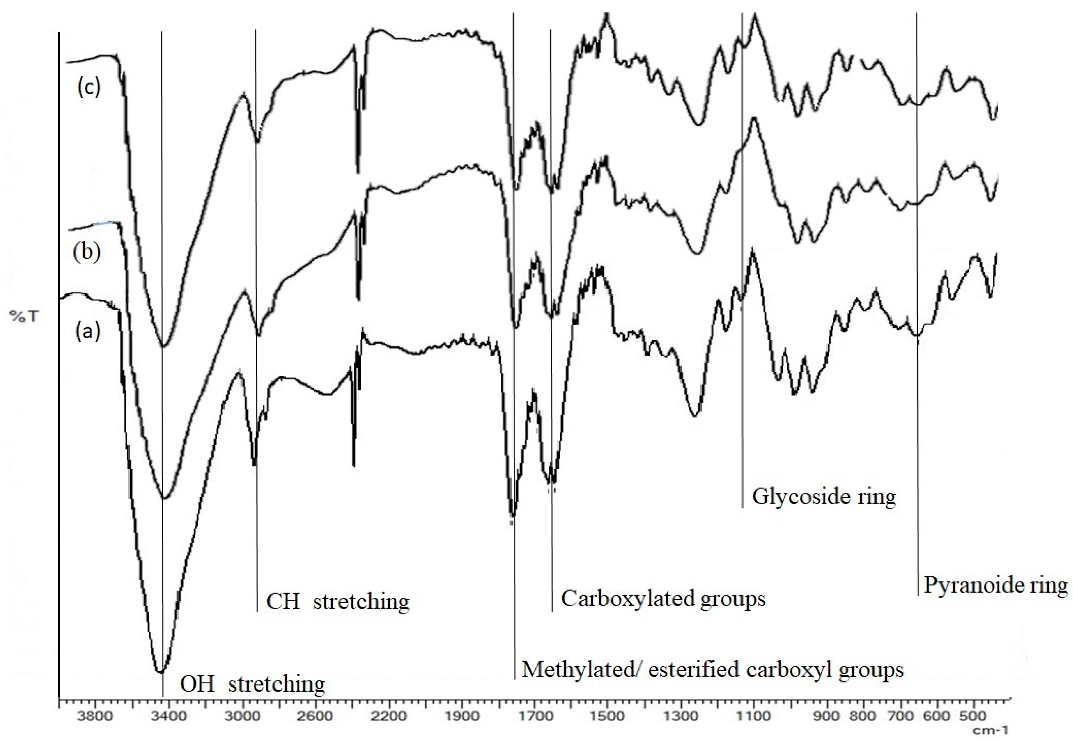 Molecules 25 02706 g001 Molecules 25 02706 g001