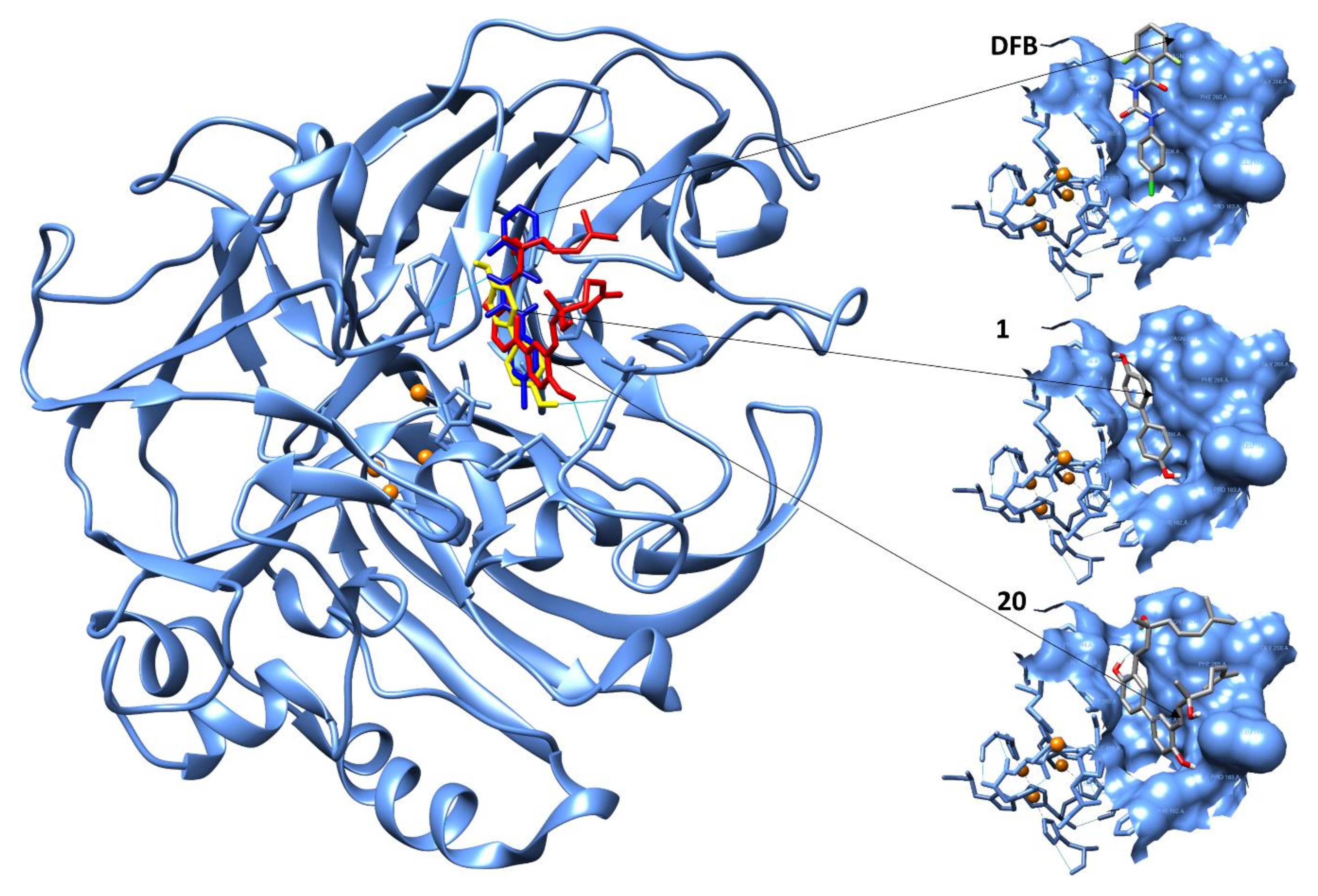 Molecules 25 02709 g004