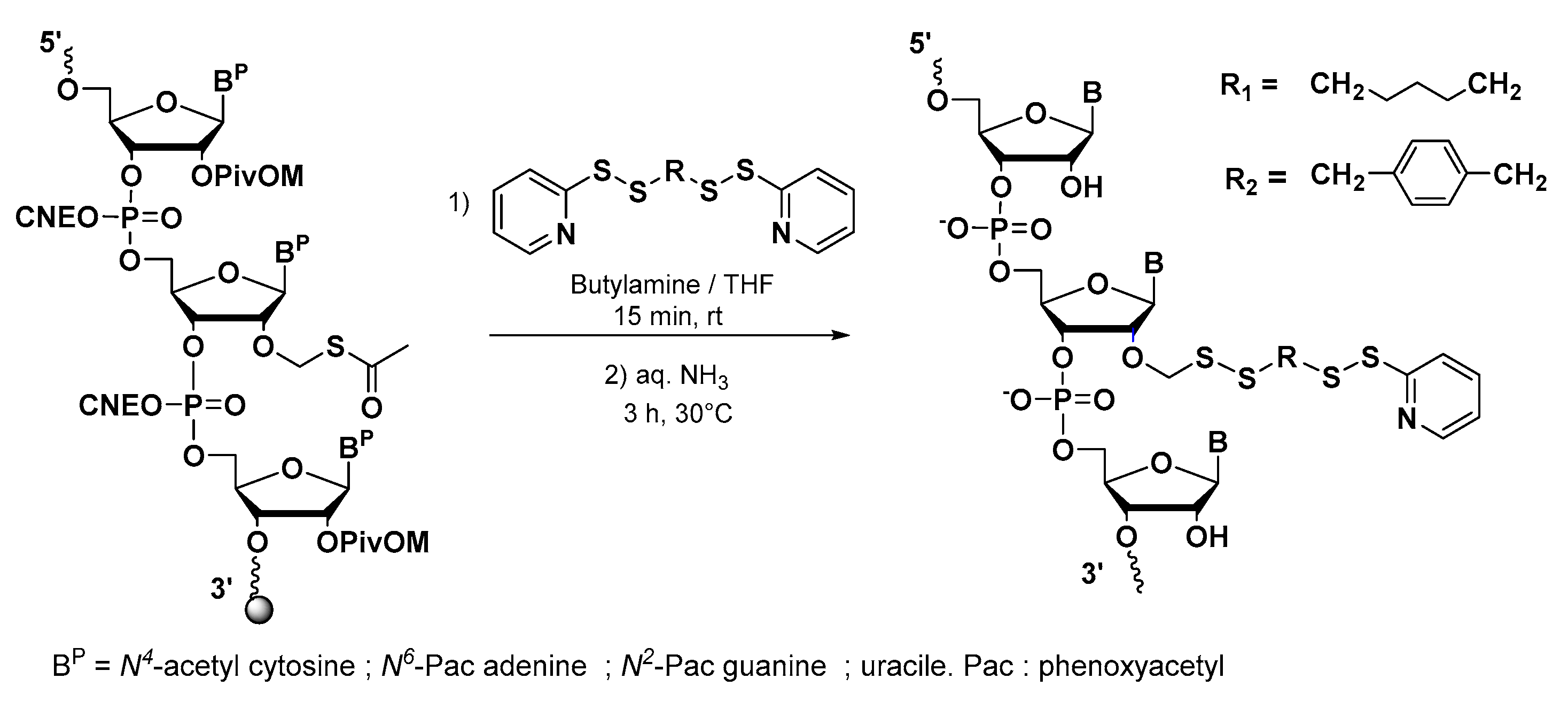 Molecules 25 02714 sch004 Molecules 25 02714 sch004