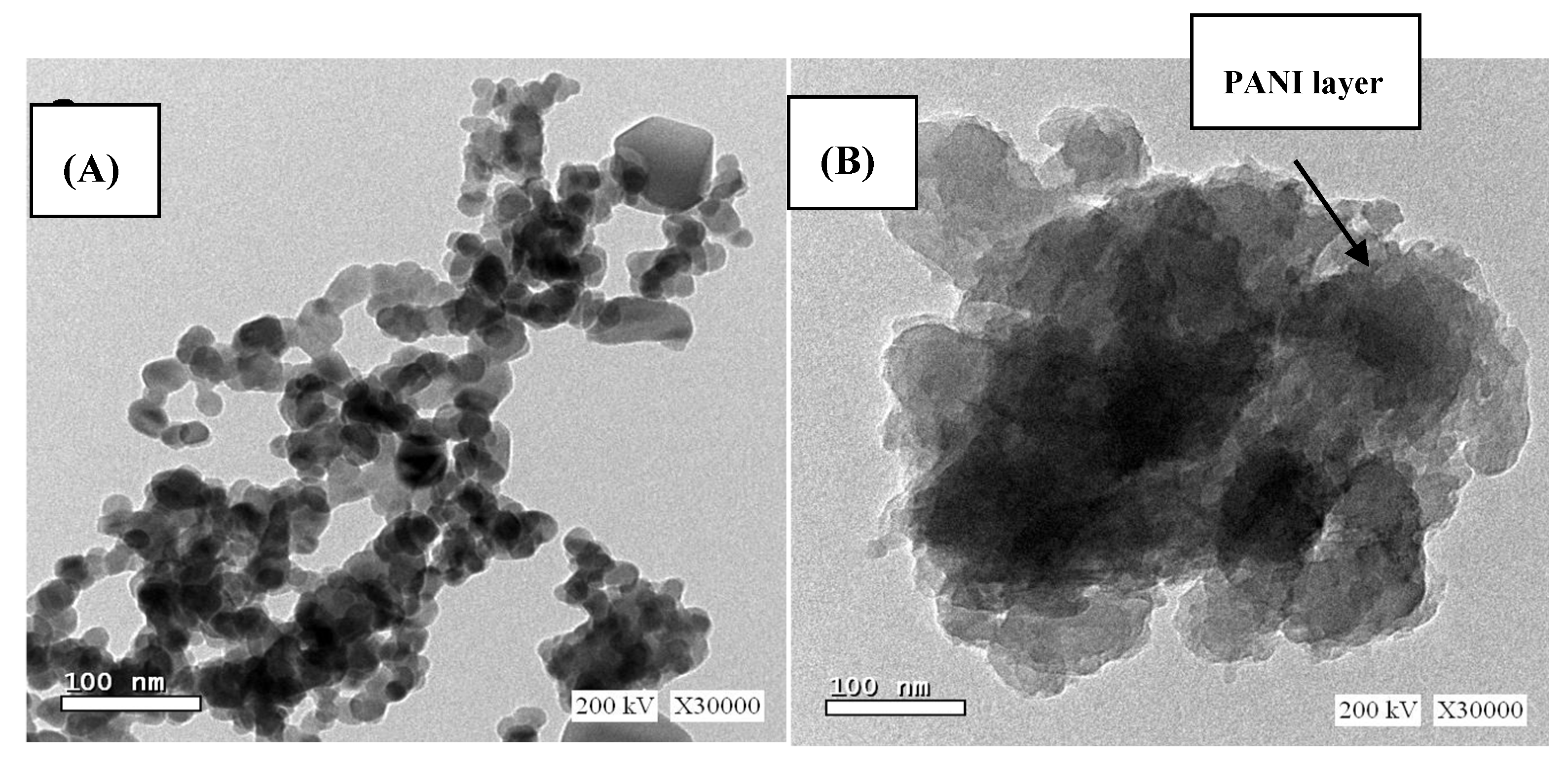 Molecules 25 02721 g002