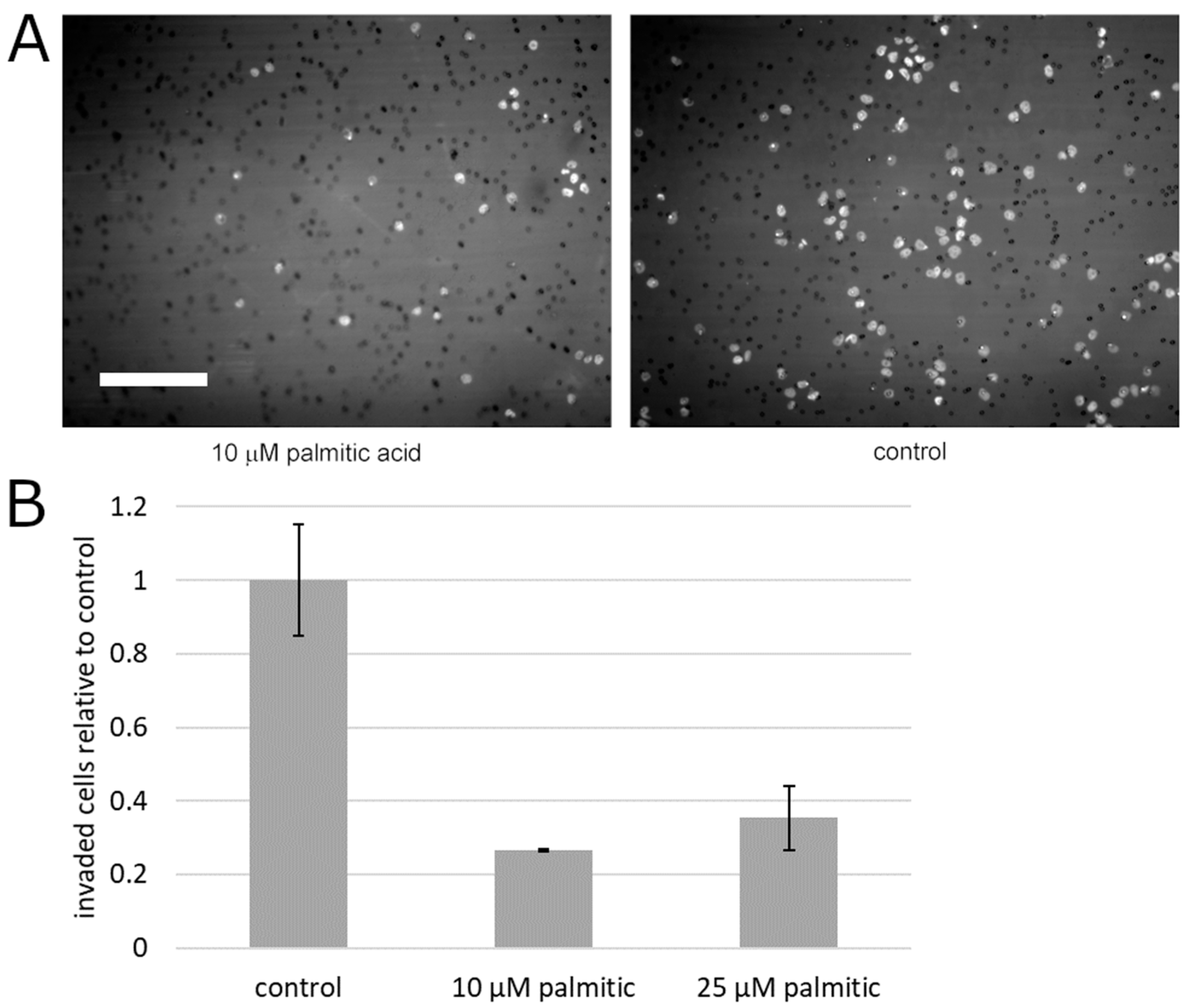 Molecules 25 02722 g004