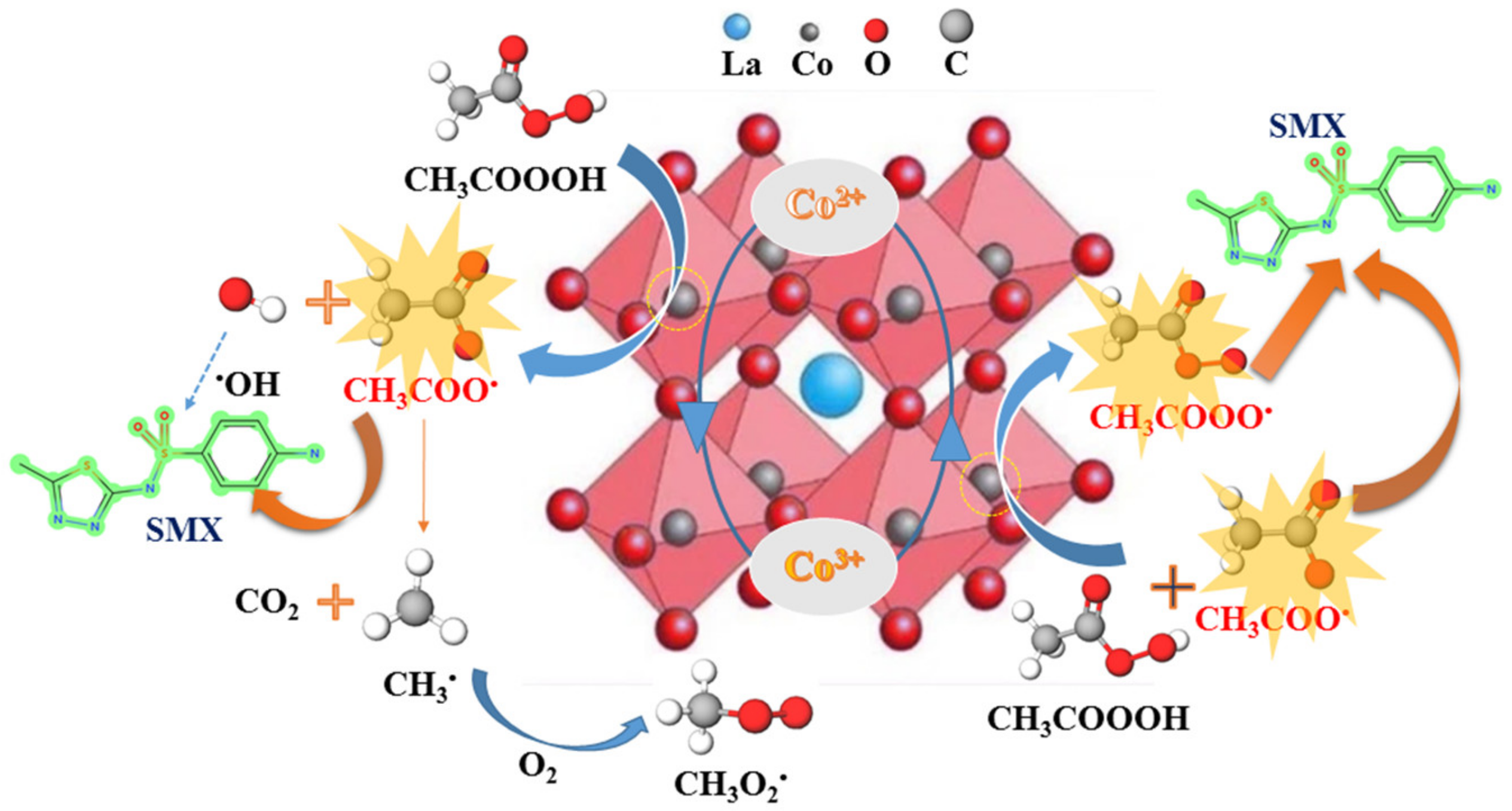 Molecules 25 02725 g005 Molecules 25 02725 g005