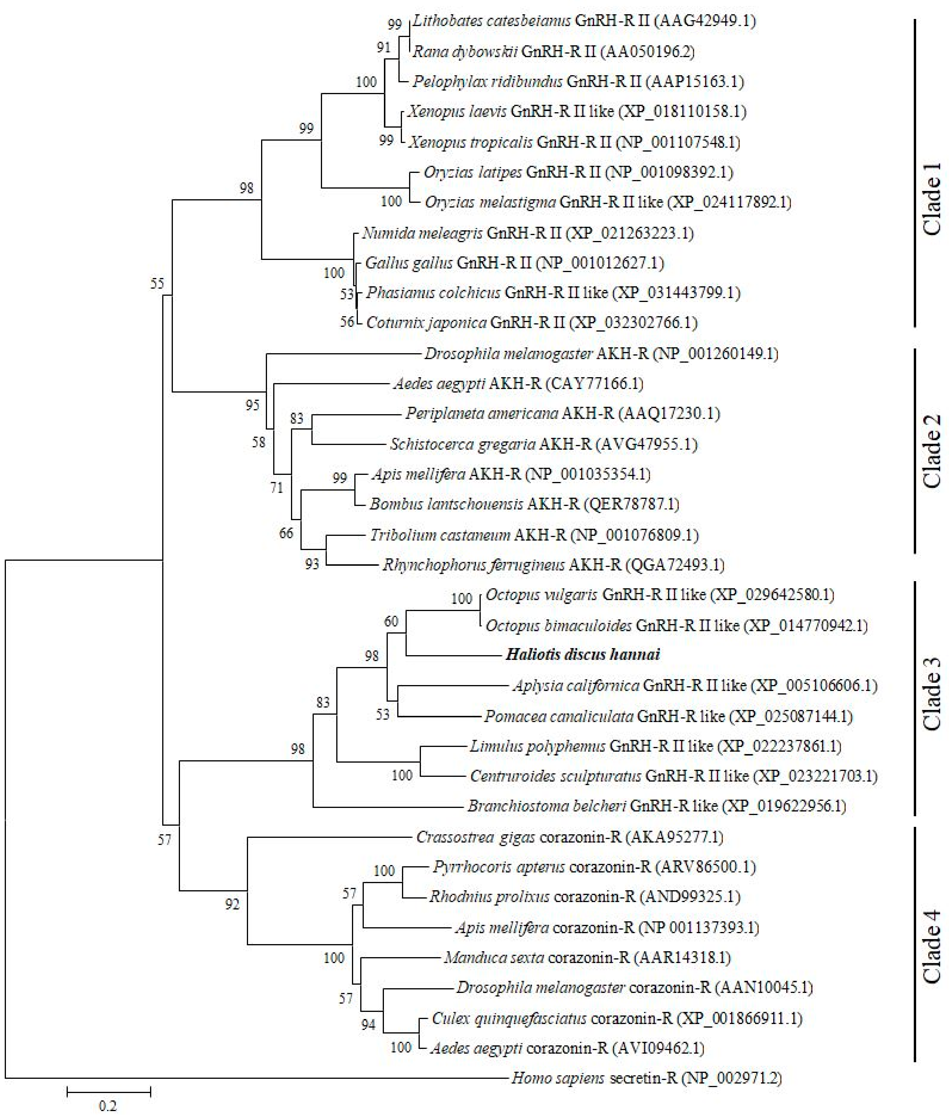Molecules 25 02733 g003 Molecules 25 02733 g003