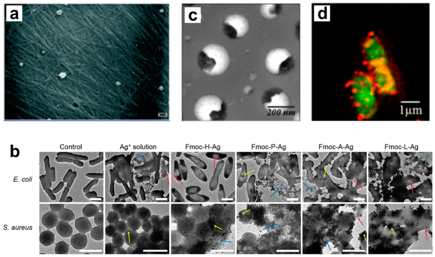 Molecules 25 02751 g011