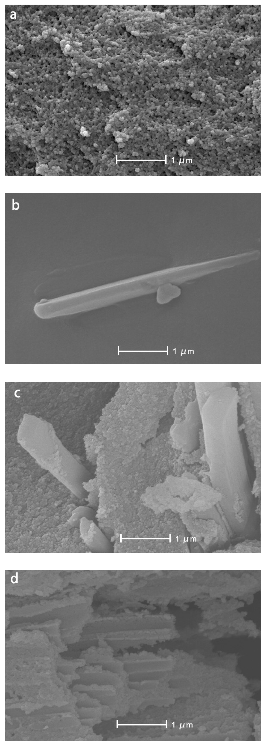 Molecules 25 02752 g002