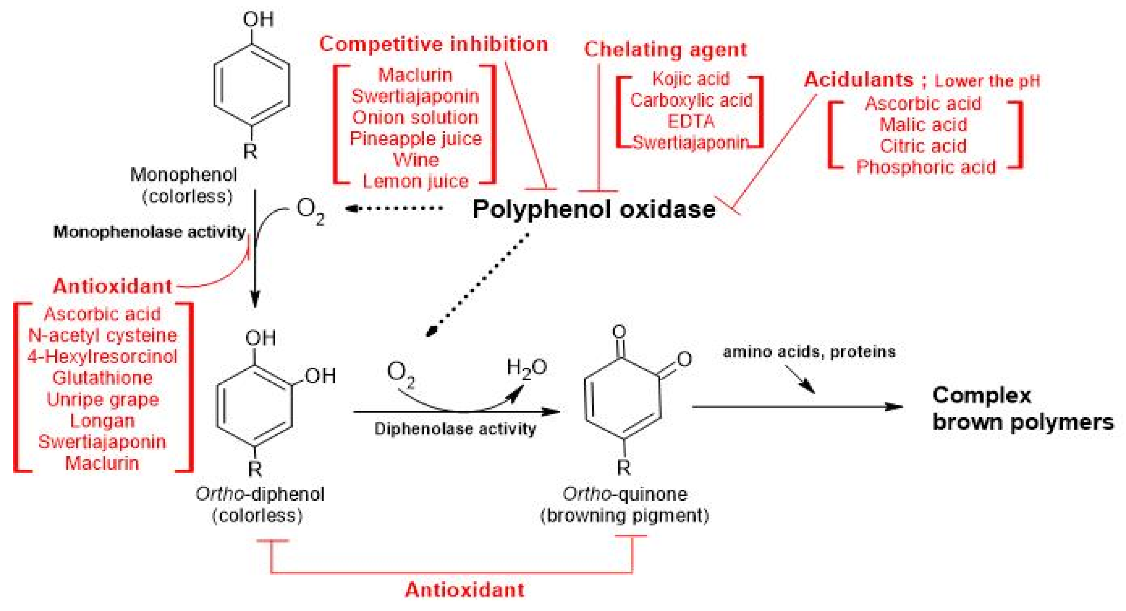 Molecules | Free Full-Text | Recent Trends in Controlling the Enzymatic
