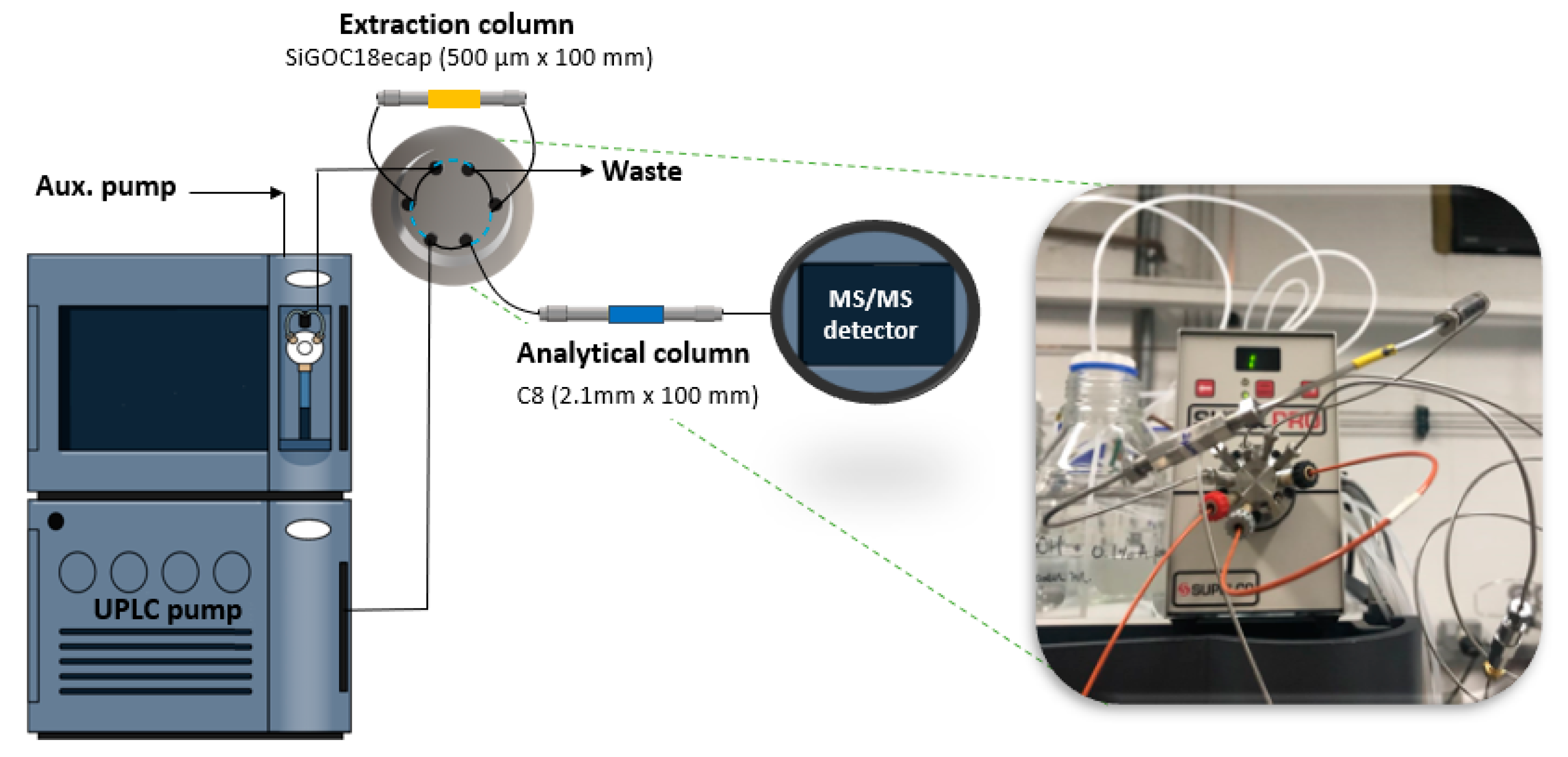 Molecules 25 02756 g006