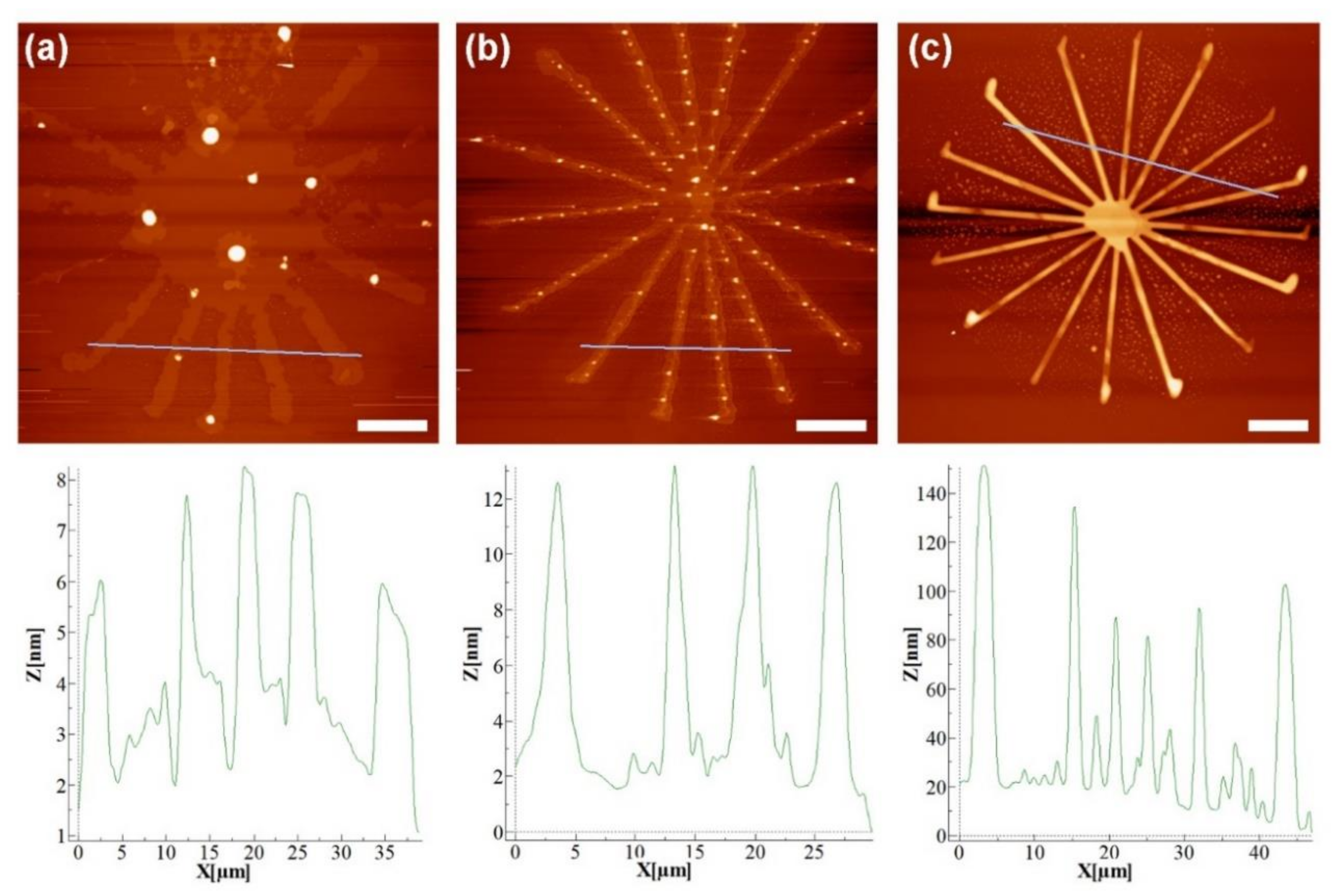 Molecules 25 02768 g002 Molecules 25 02768 g002