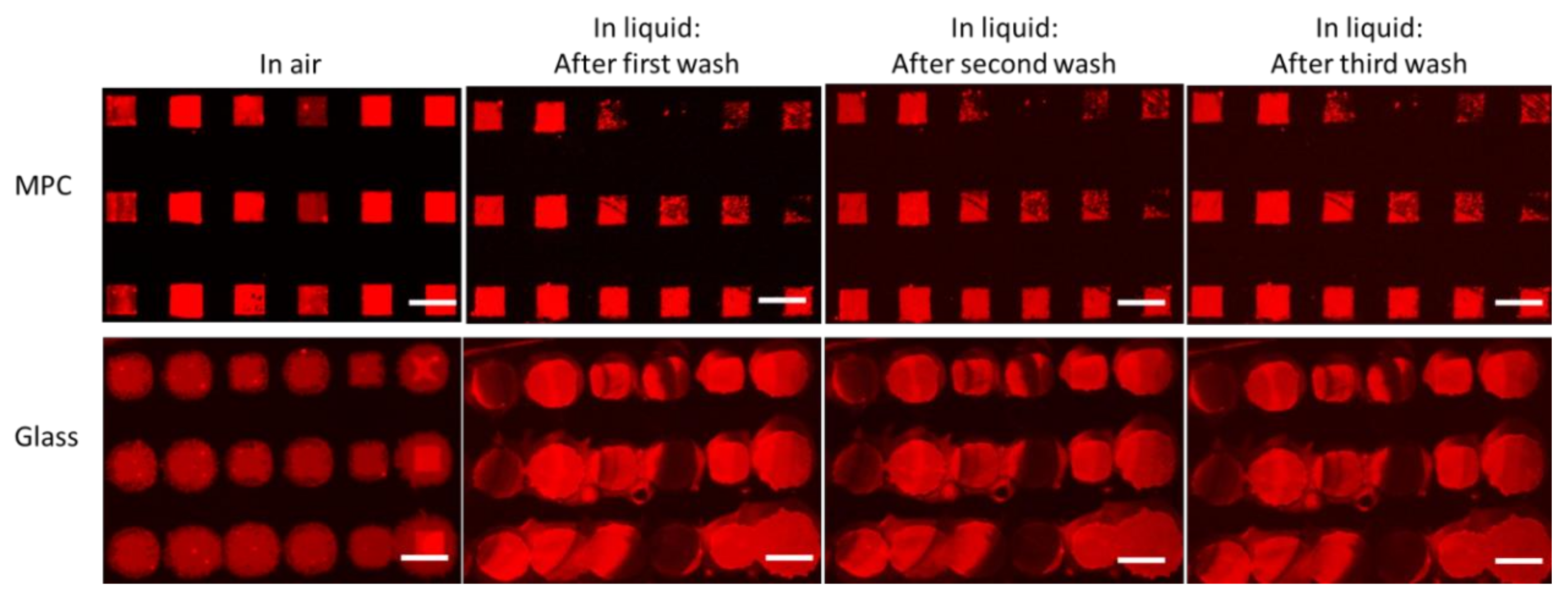 Molecules 25 02768 g003 Molecules 25 02768 g003