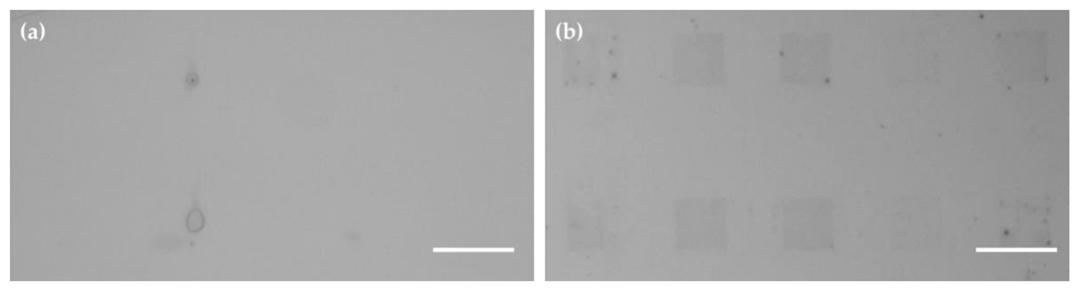 Molecules 25 02768 g004 Molecules 25 02768 g004