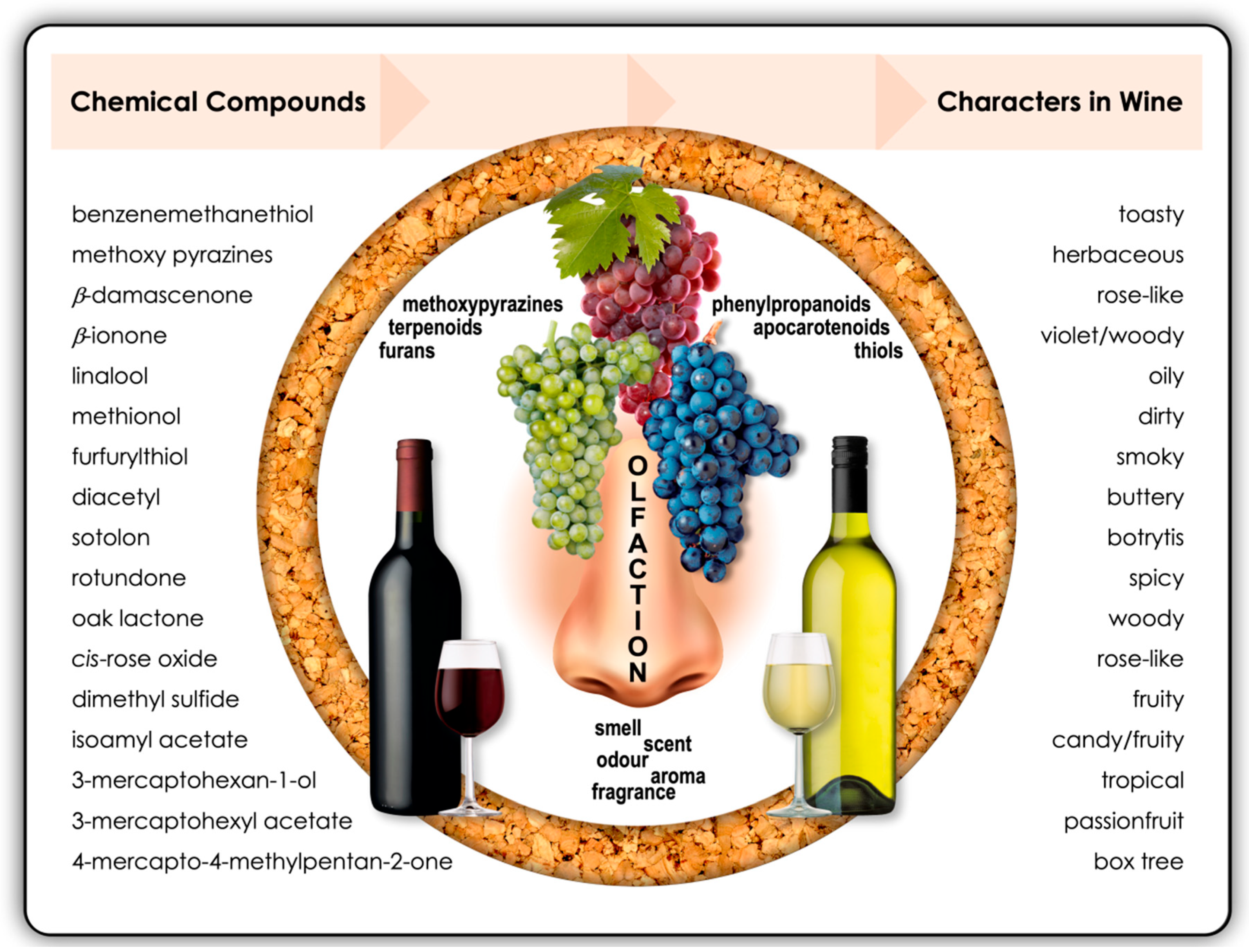 Molecules 25 02779 g002
