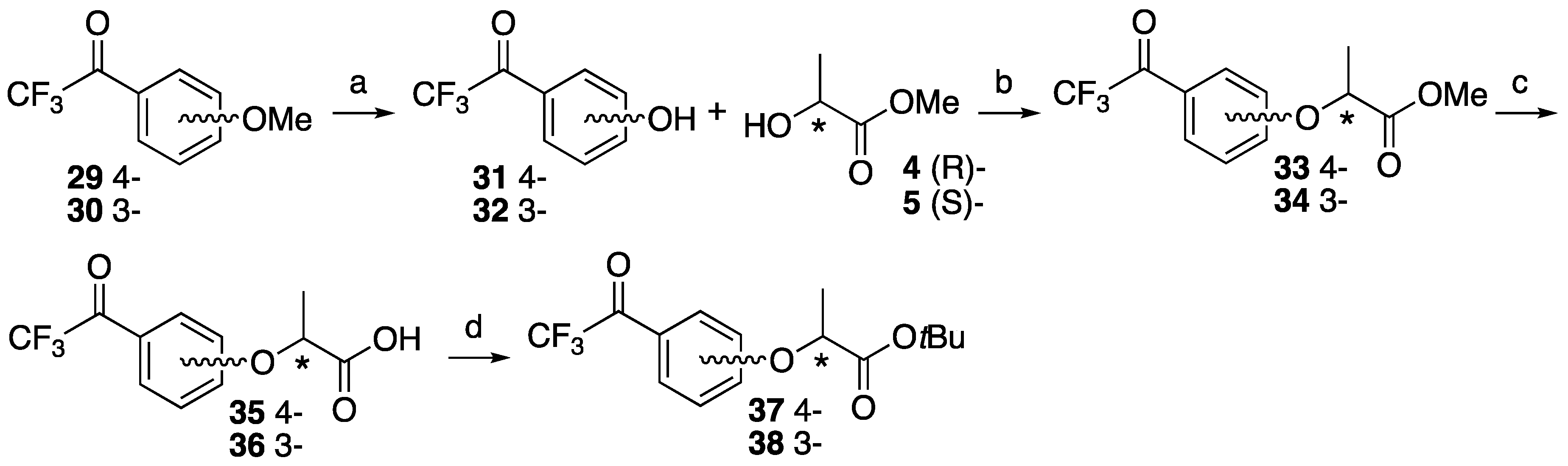 Molecules  Free Full-Text  Asymmetric Synthesis of Photophore 