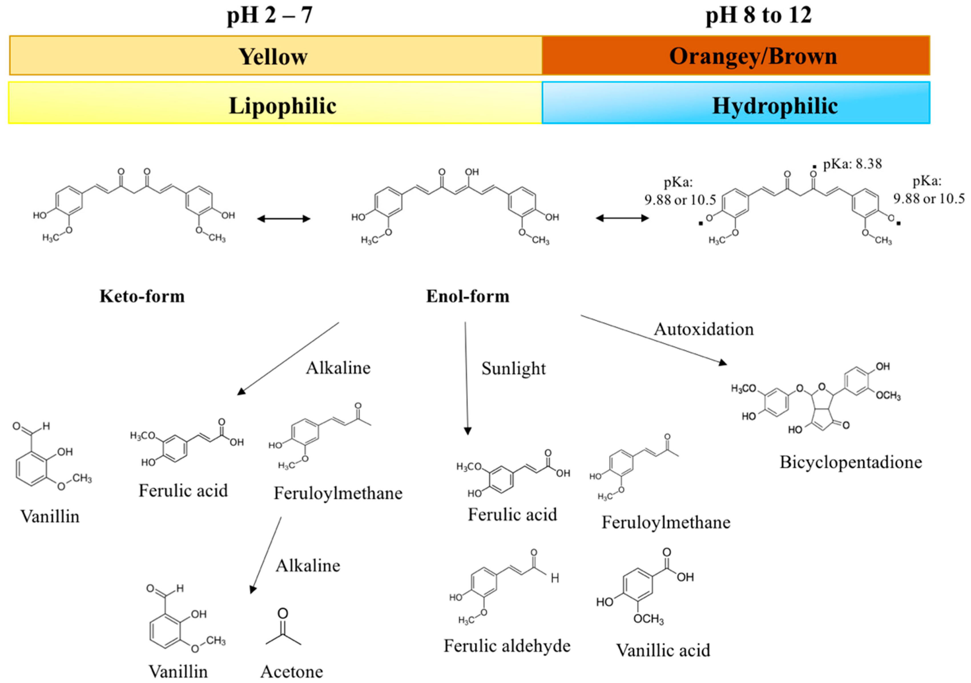 Molecules Free FullText Formulation of More Efficacious Curcumin