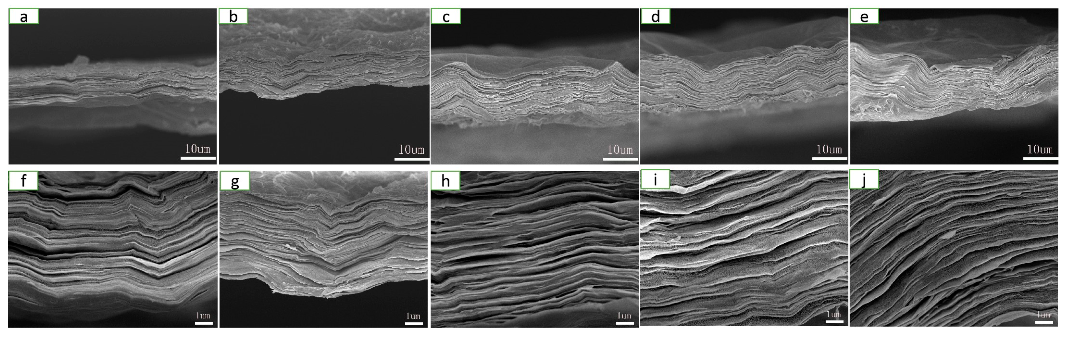 Molecules 25 02793 g002