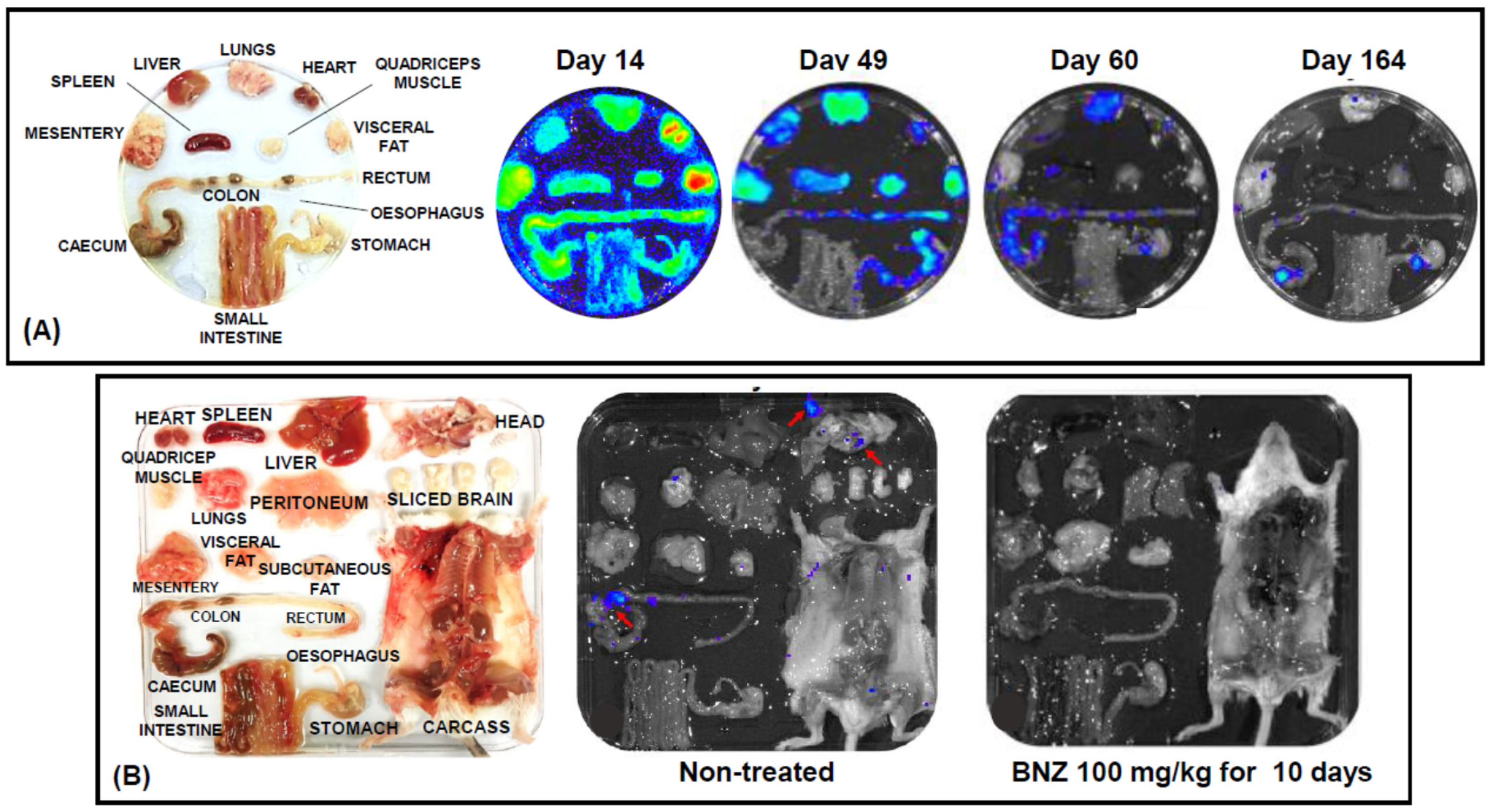 Molecules 25 02799 g003 Molecules 25 02799 g003