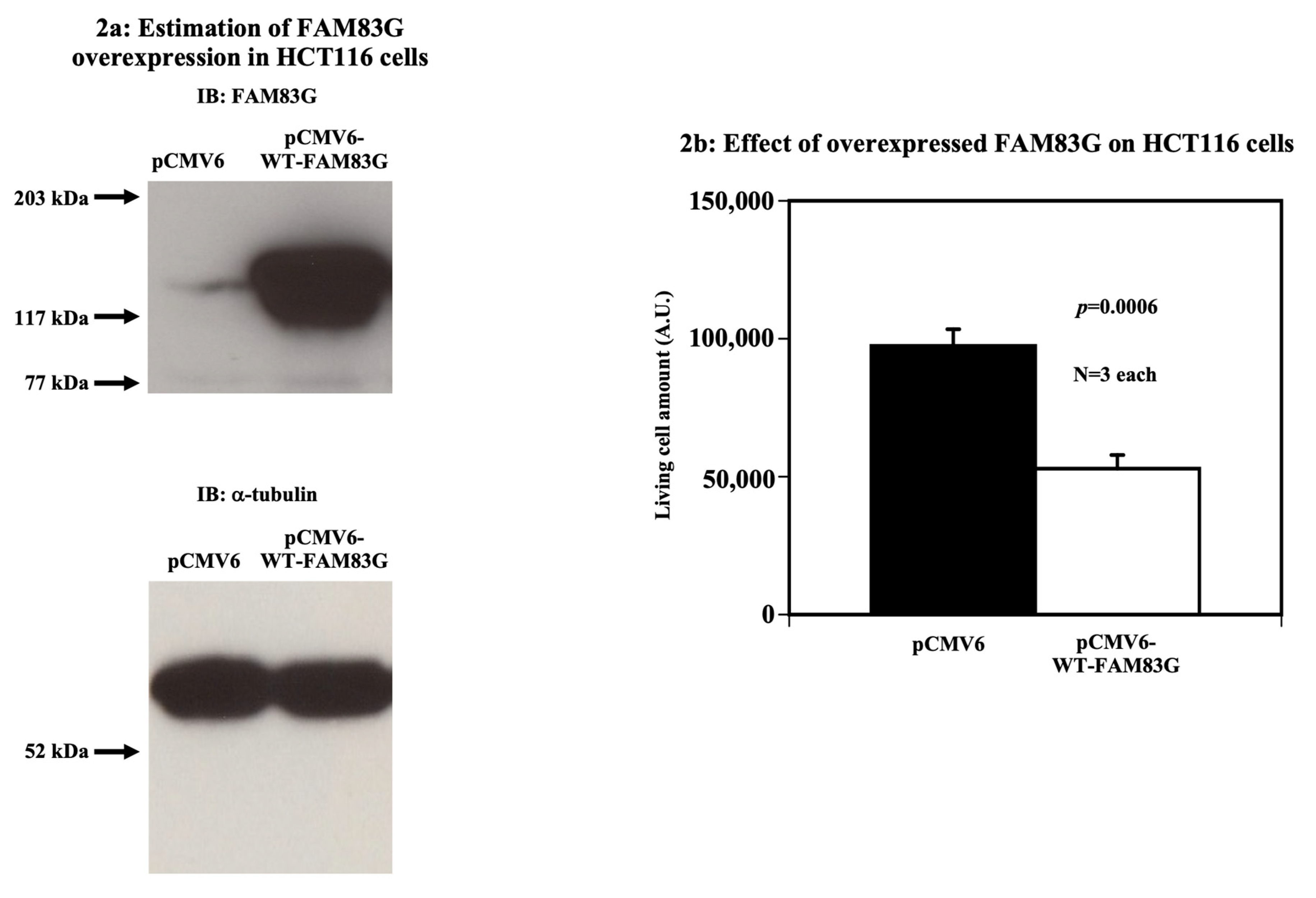 Molecules 25 02810 g002 Molecules 25 02810 g002
