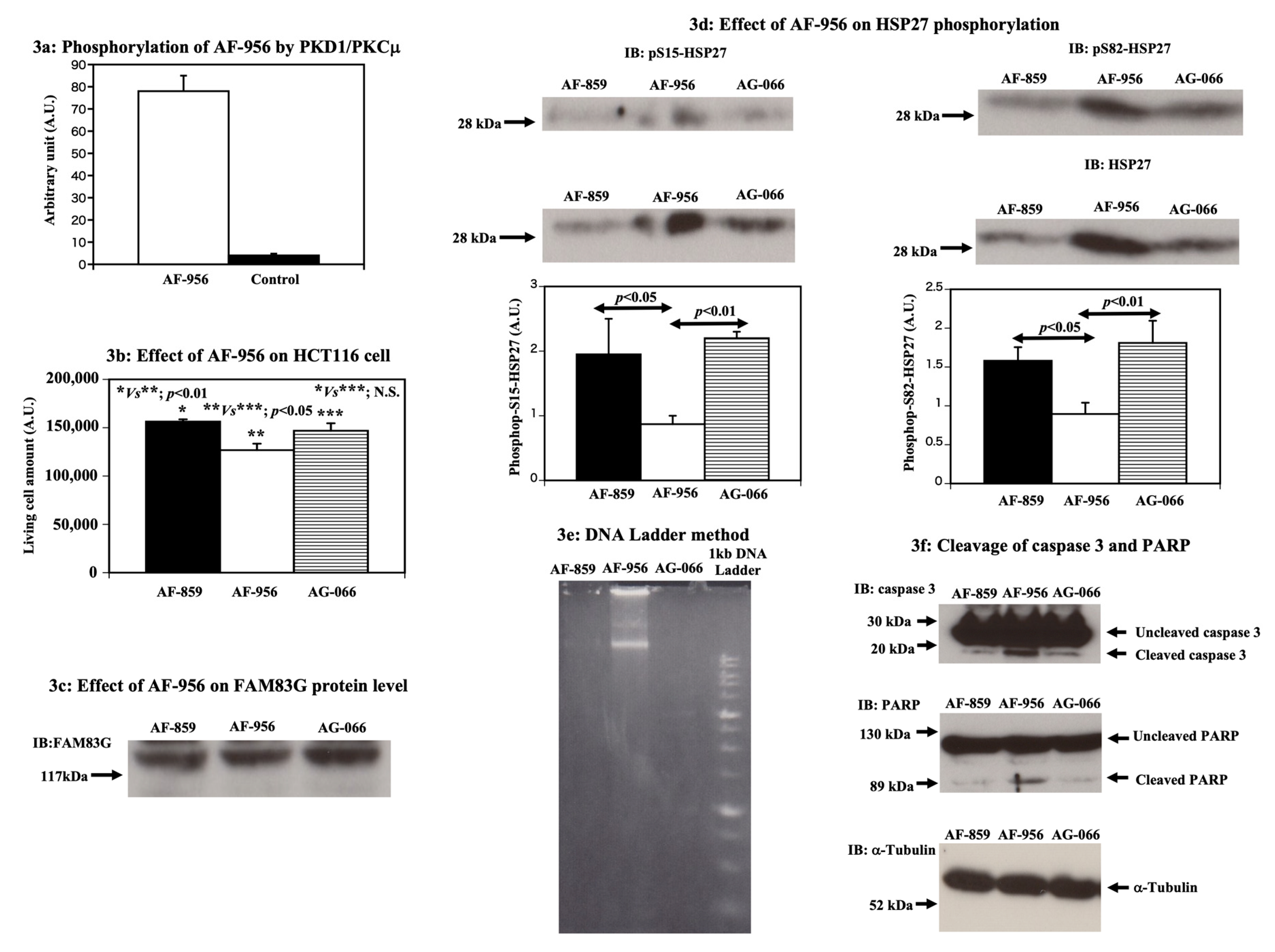 Molecules 25 02810 g003 Molecules 25 02810 g003