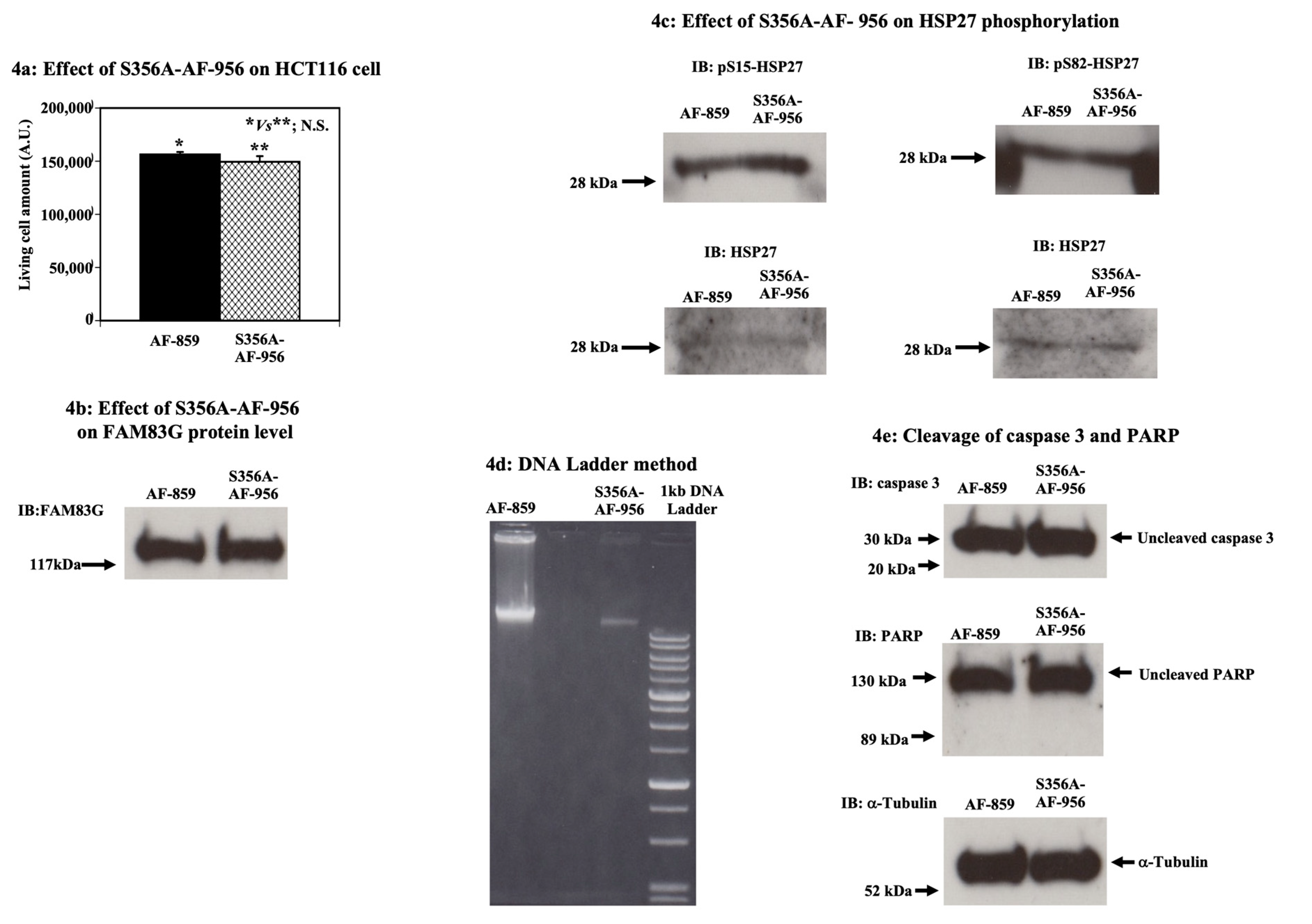 Molecules 25 02810 g004 Molecules 25 02810 g004