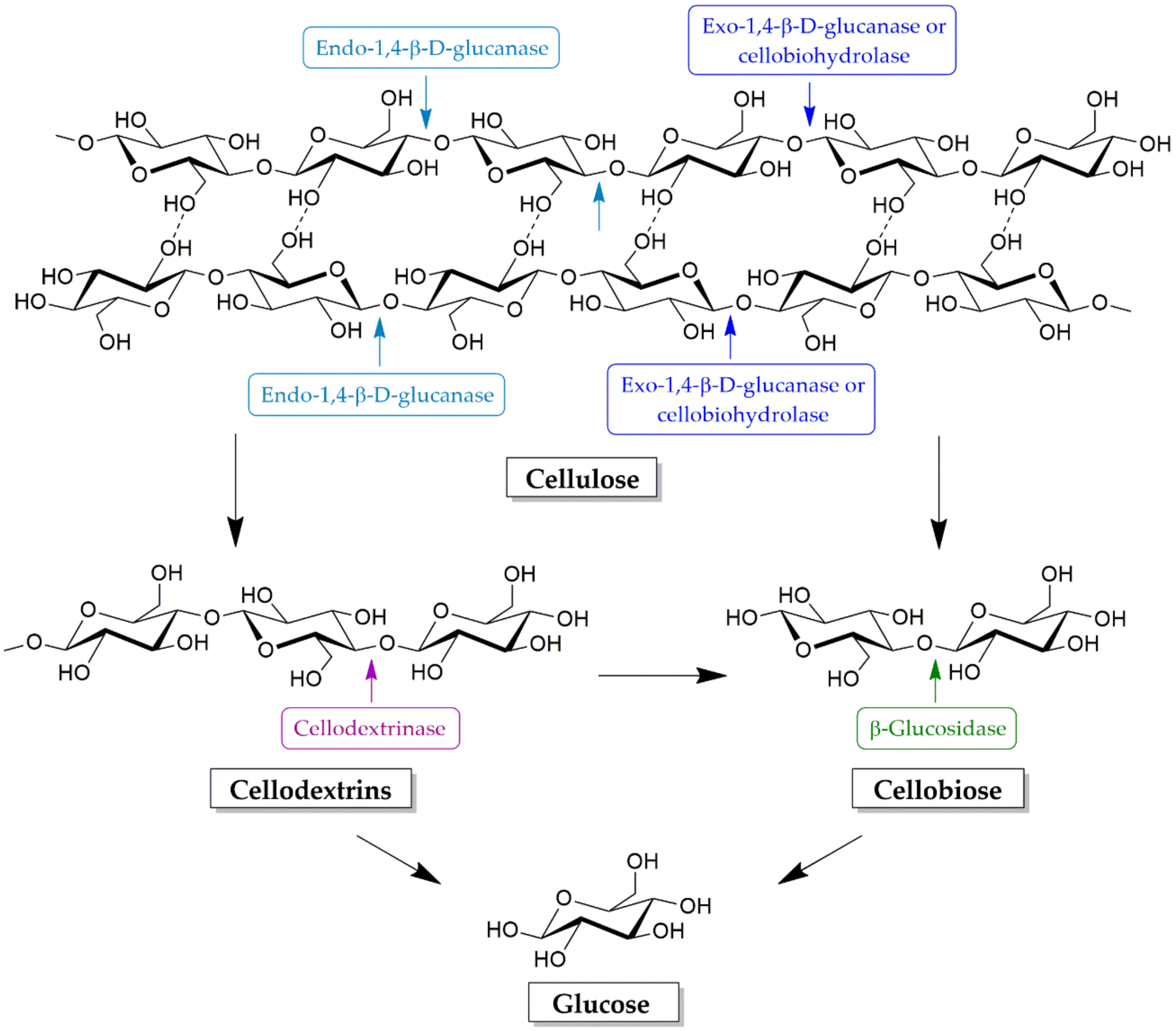 Molecules 25 02811 g005 Molecules 25 02811 g005