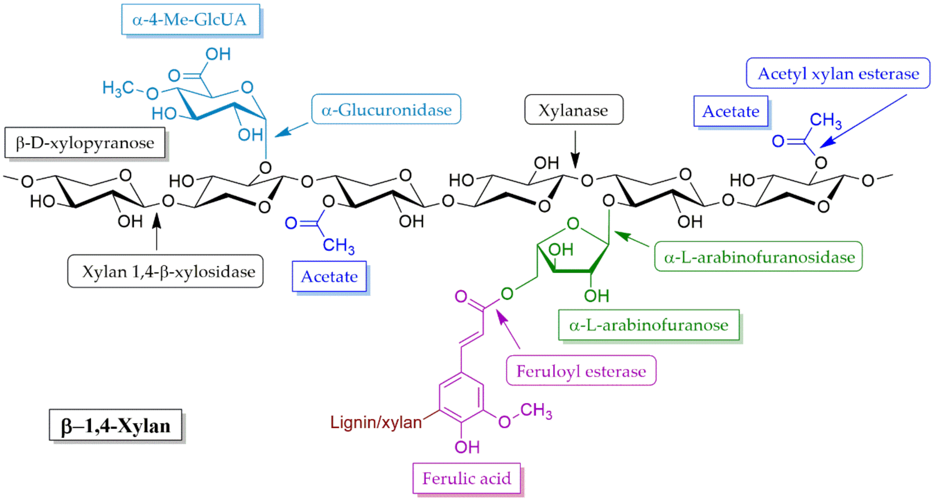 Molecules 25 02811 g006 Molecules 25 02811 g006