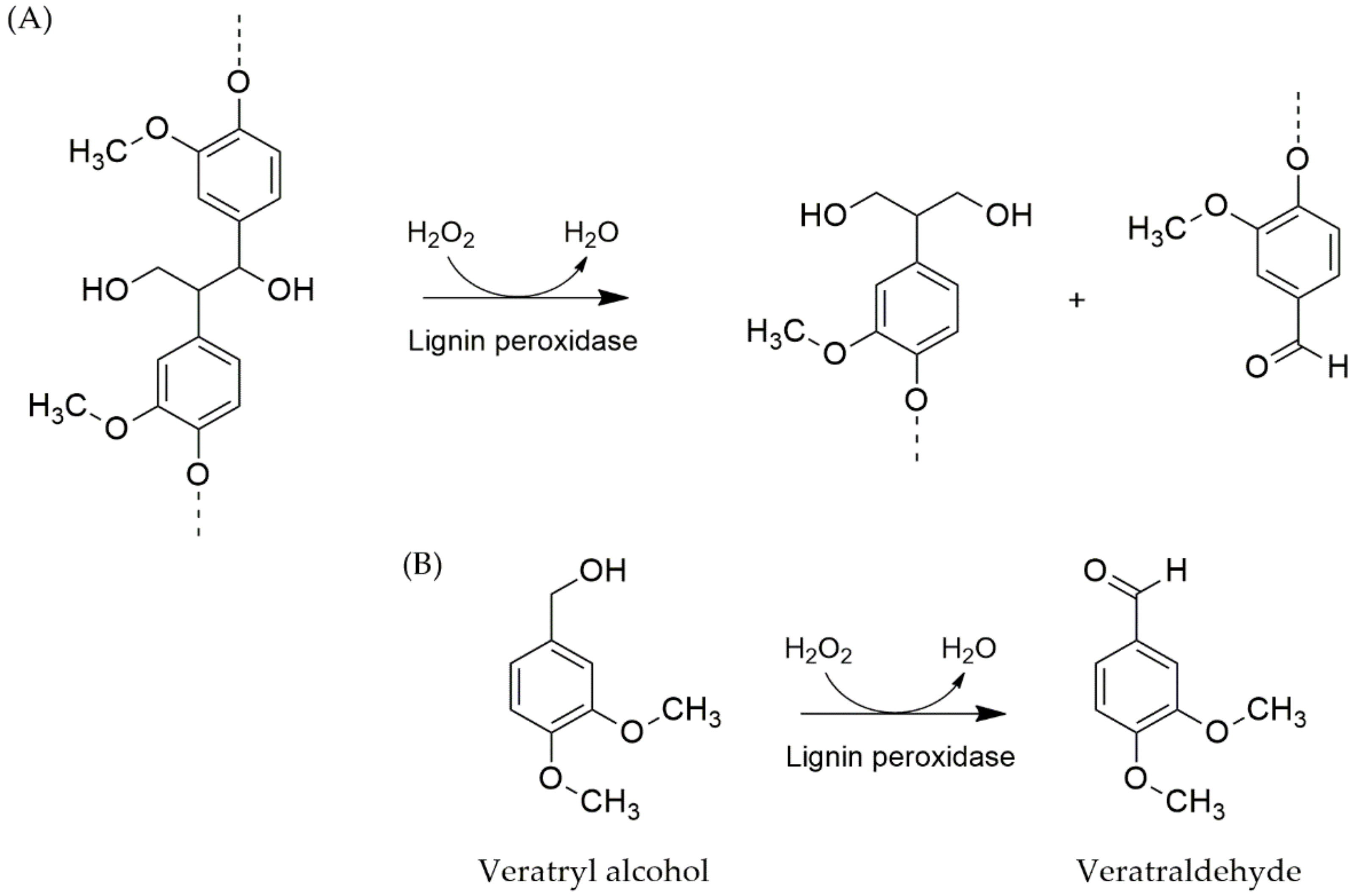 Molecules Free Full Text Cultivation Of Mushrooms And Their Lignocellulolytic Enzyme Production Through The Utilization Of Agro Industrial Waste Html