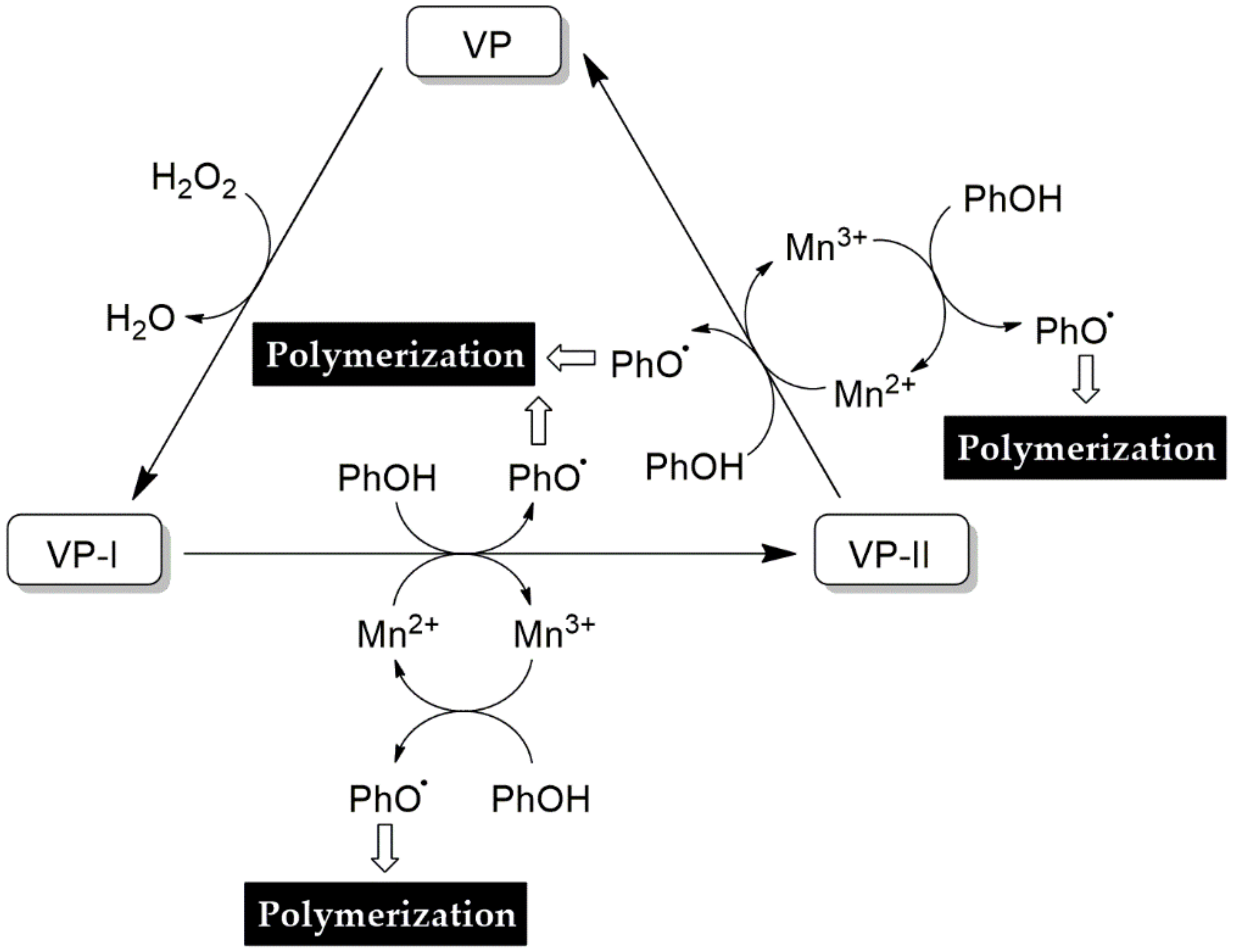 Molecules 25 02811 g012 Molecules 25 02811 g012