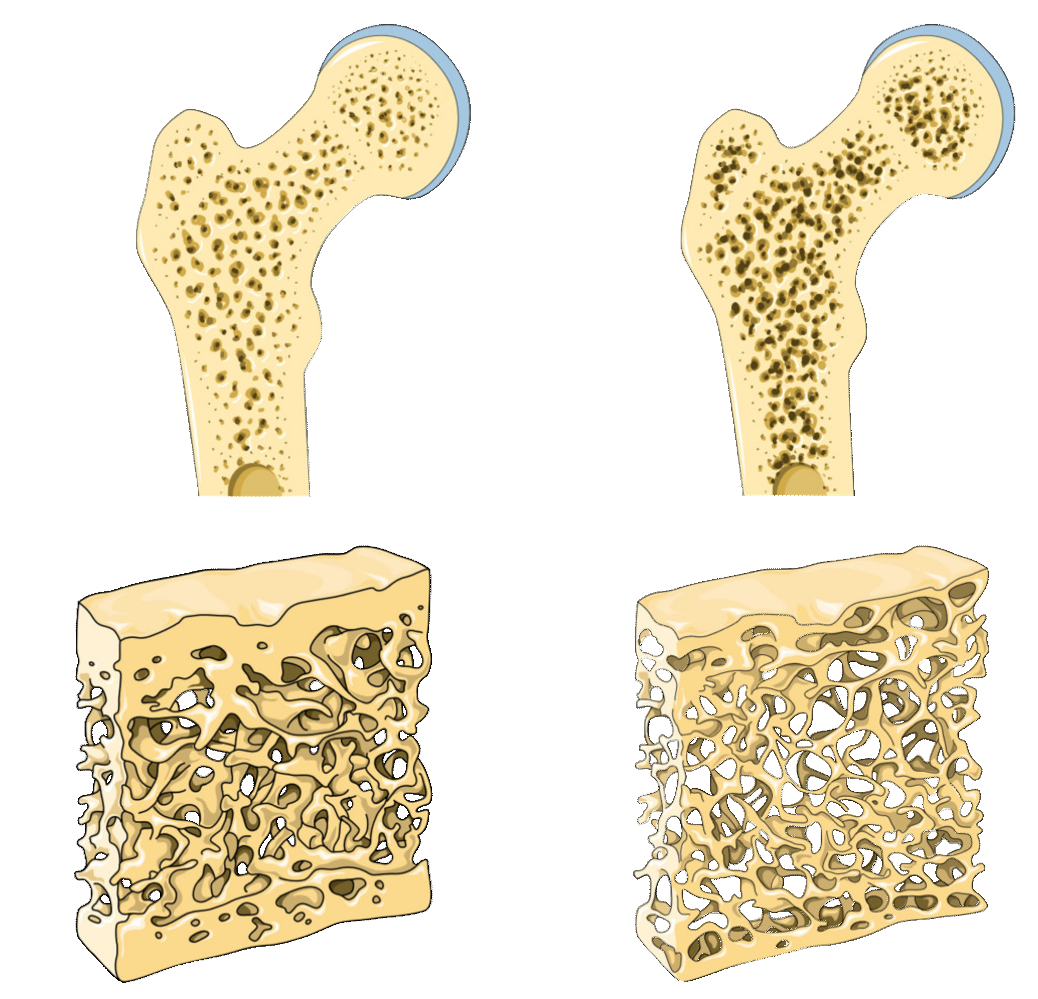 Molecules 25 02821 g002 Molecules 25 02821 g002