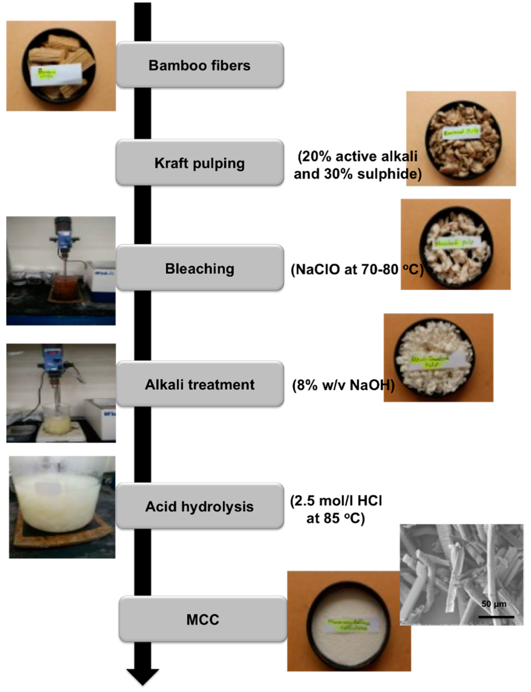Molecules 25 02824 g001 Molecules 25 02824 g001