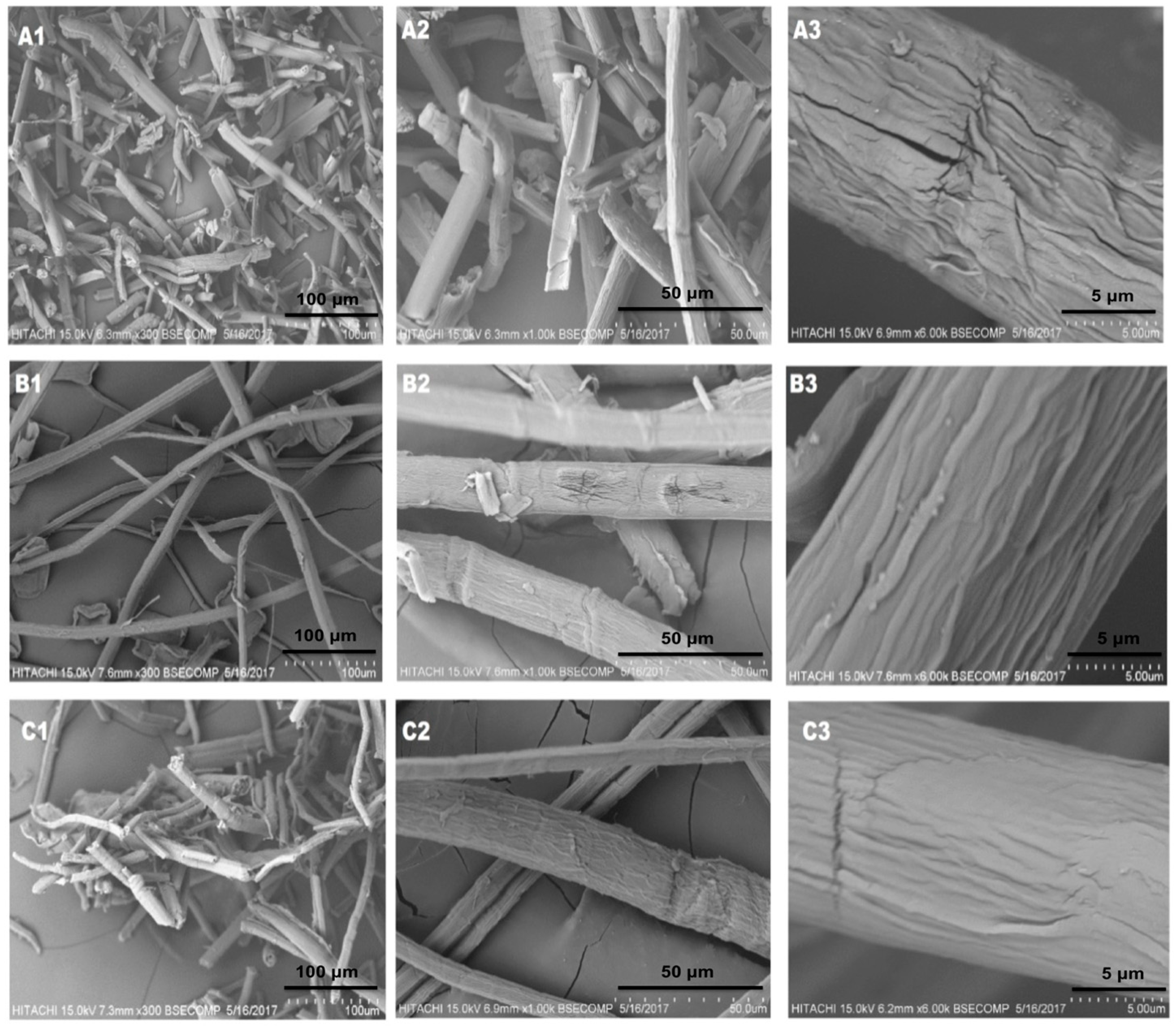 Molecules 25 02824 g002 Molecules 25 02824 g002