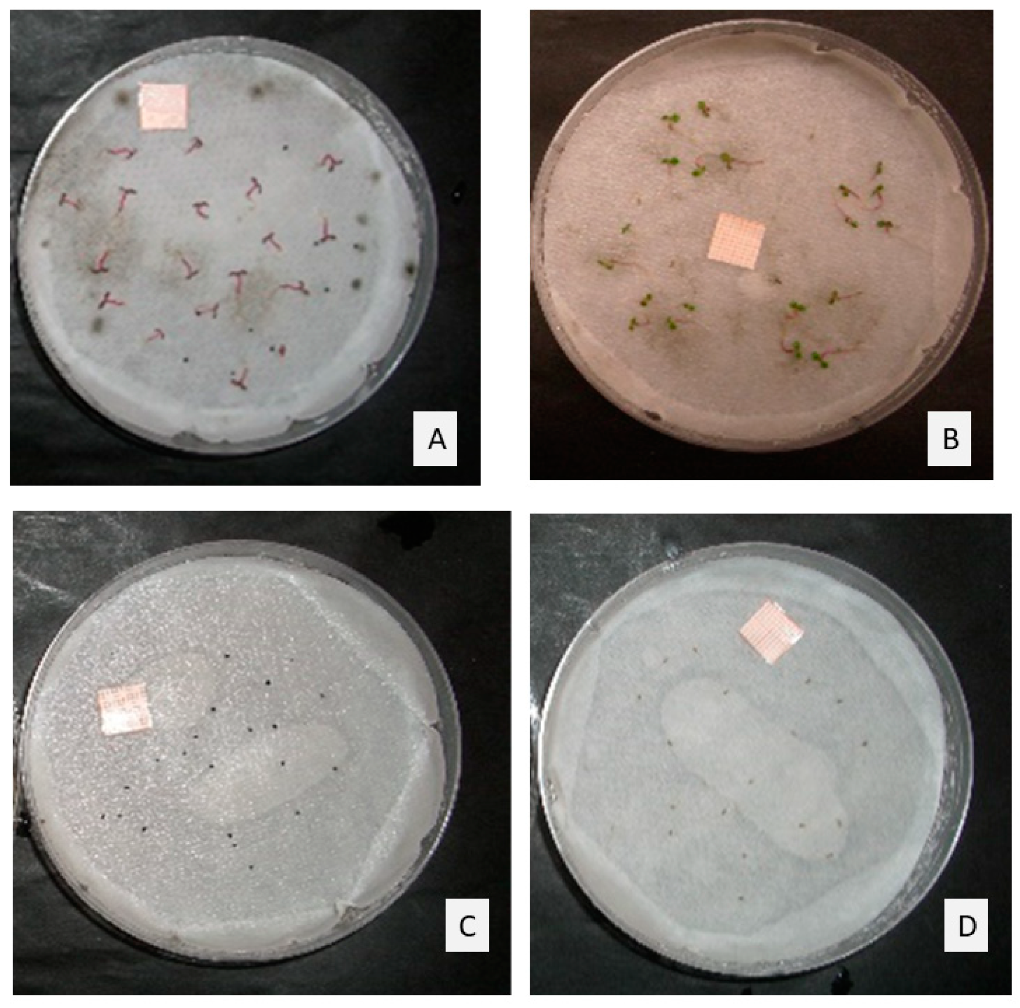Molecules 25 02832 g002