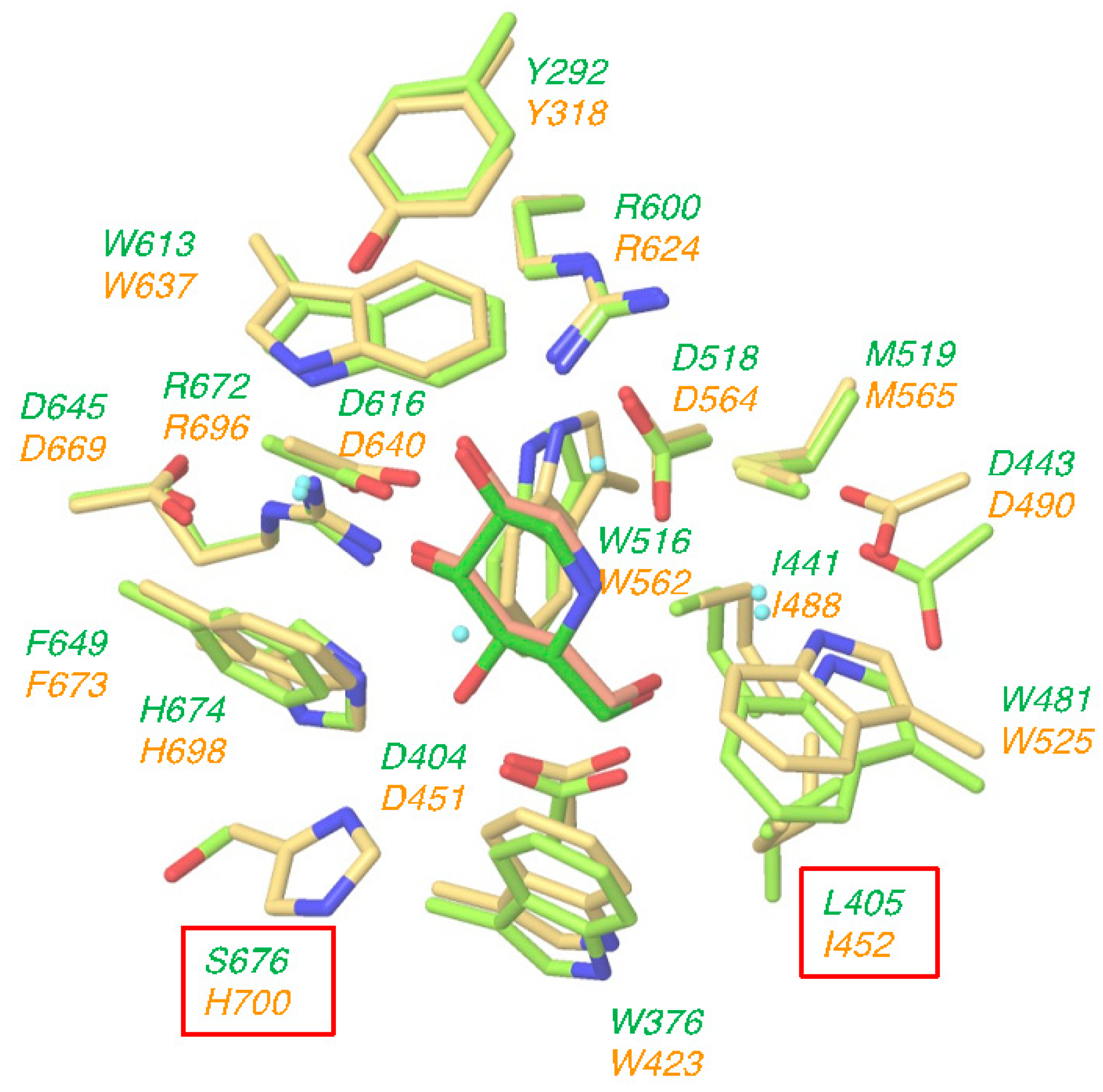 Molecules 25 02843 g002 Molecules 25 02843 g002