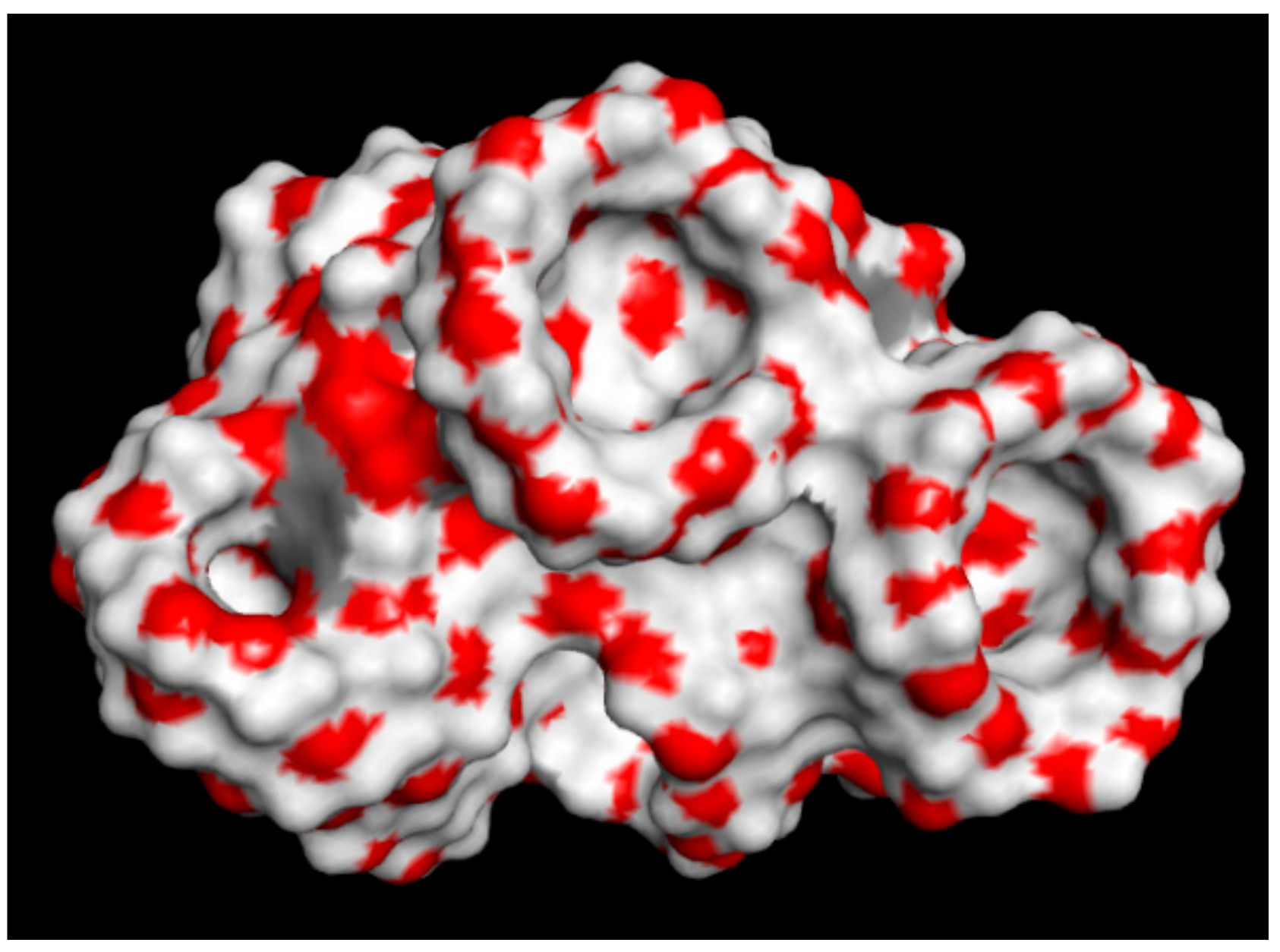 Molecules 25 02848 g005 Molecules 25 02848 g005