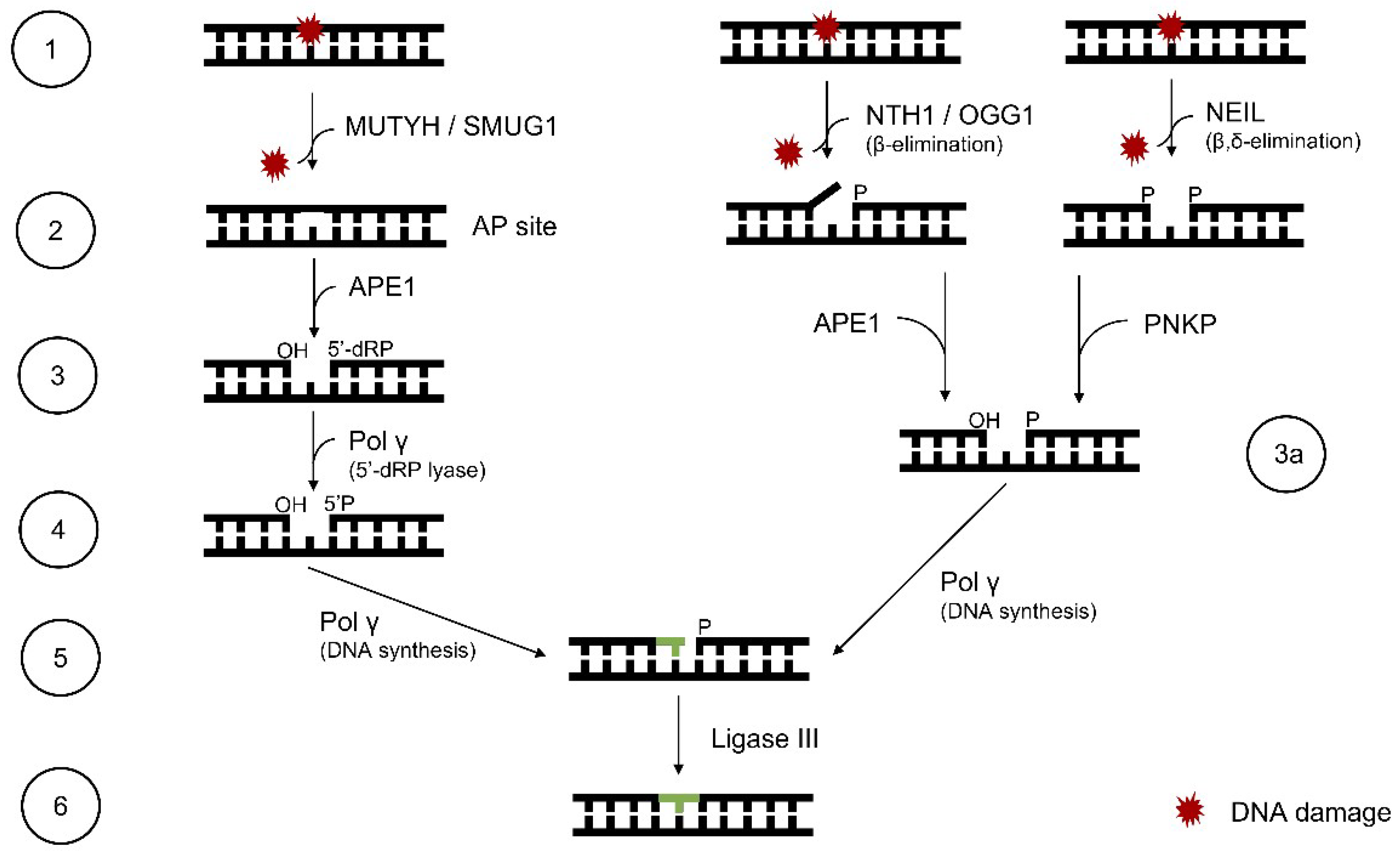 Molecules 25 02857 g003 Molecules 25 02857 g003