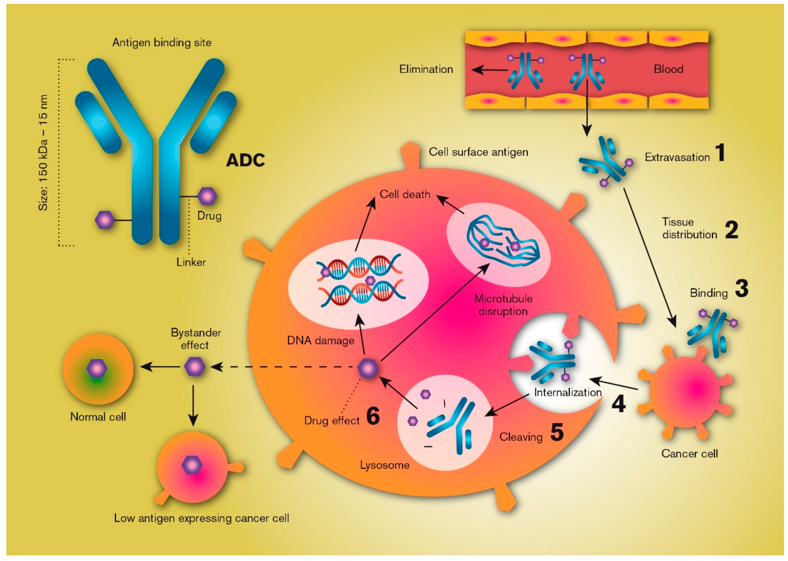 Molecules 25 02861 g001 Molecules 25 02861 g001