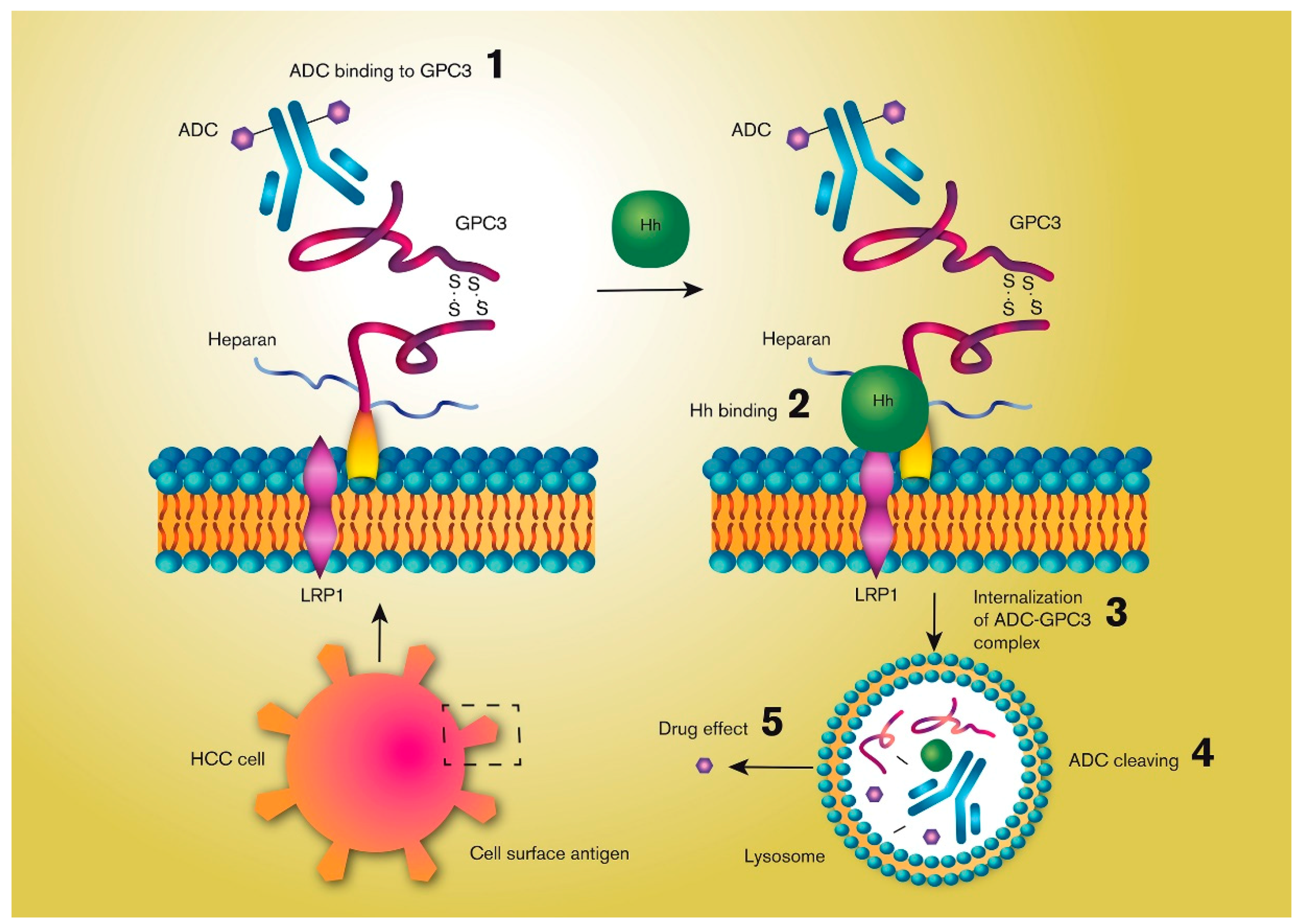 Molecules 25 02861 g003 Molecules 25 02861 g003