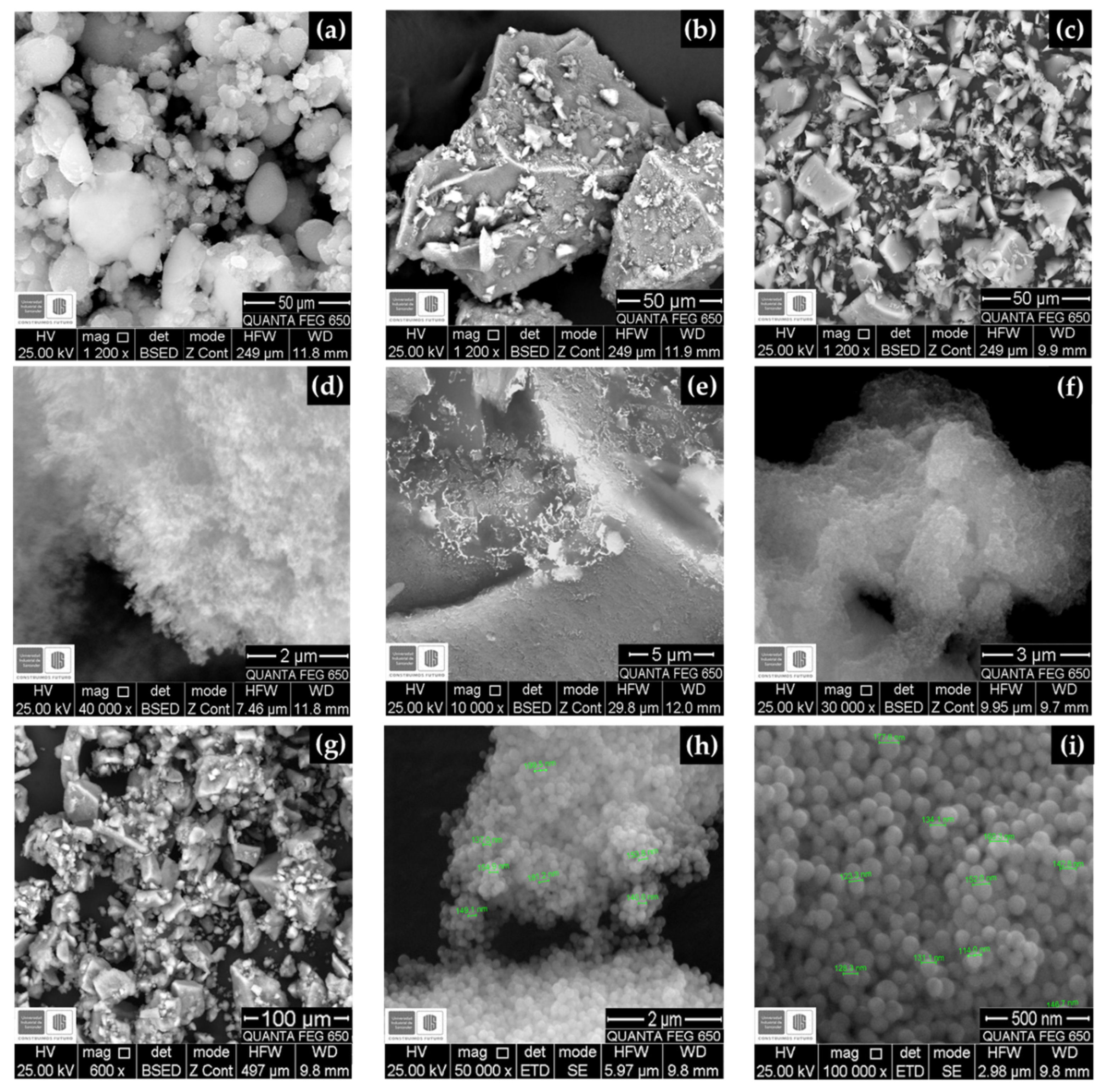 Molecules 25 02868 g004