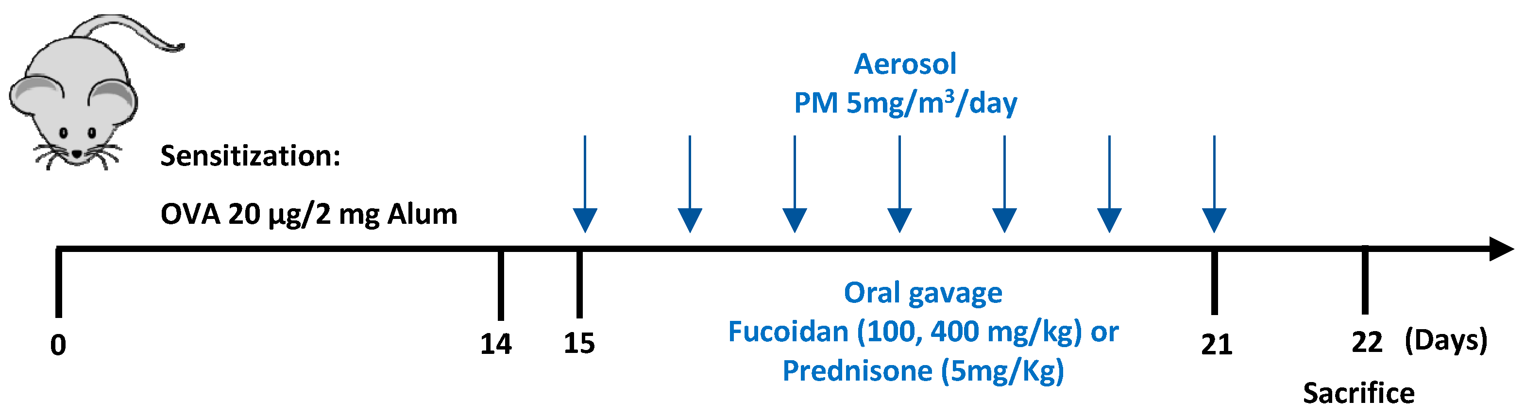Molecules 25 02869 g013