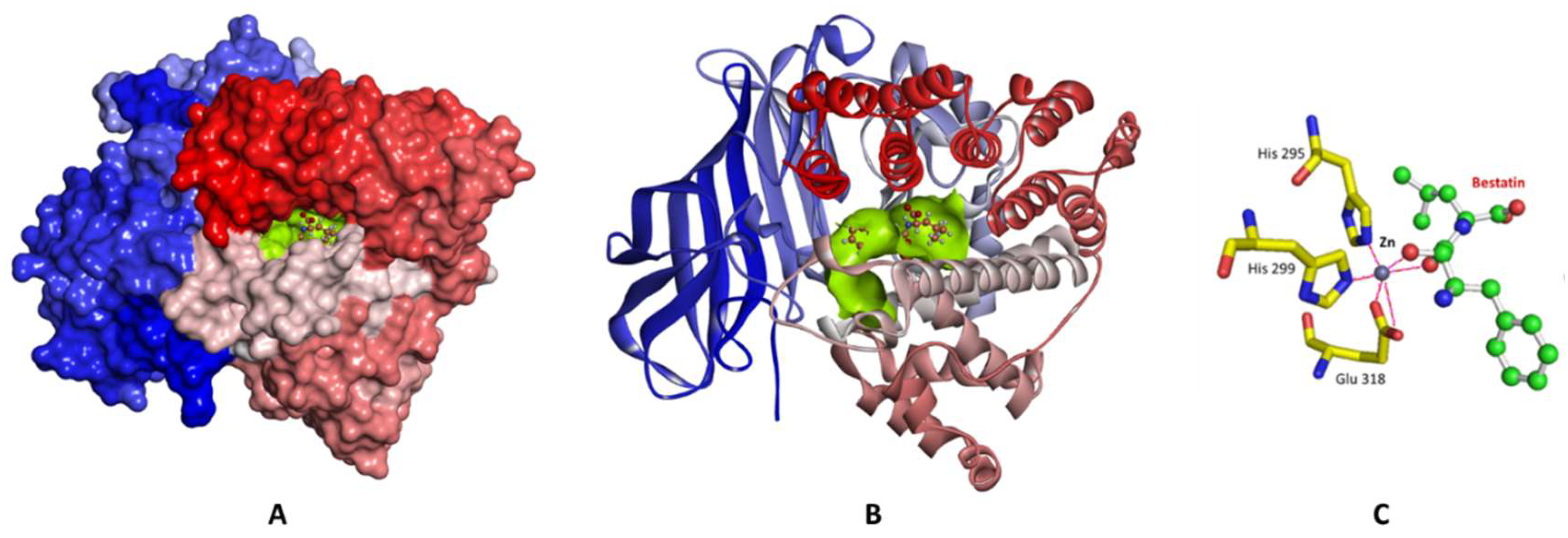Molecules 25 02871 g002 Molecules 25 02871 g002