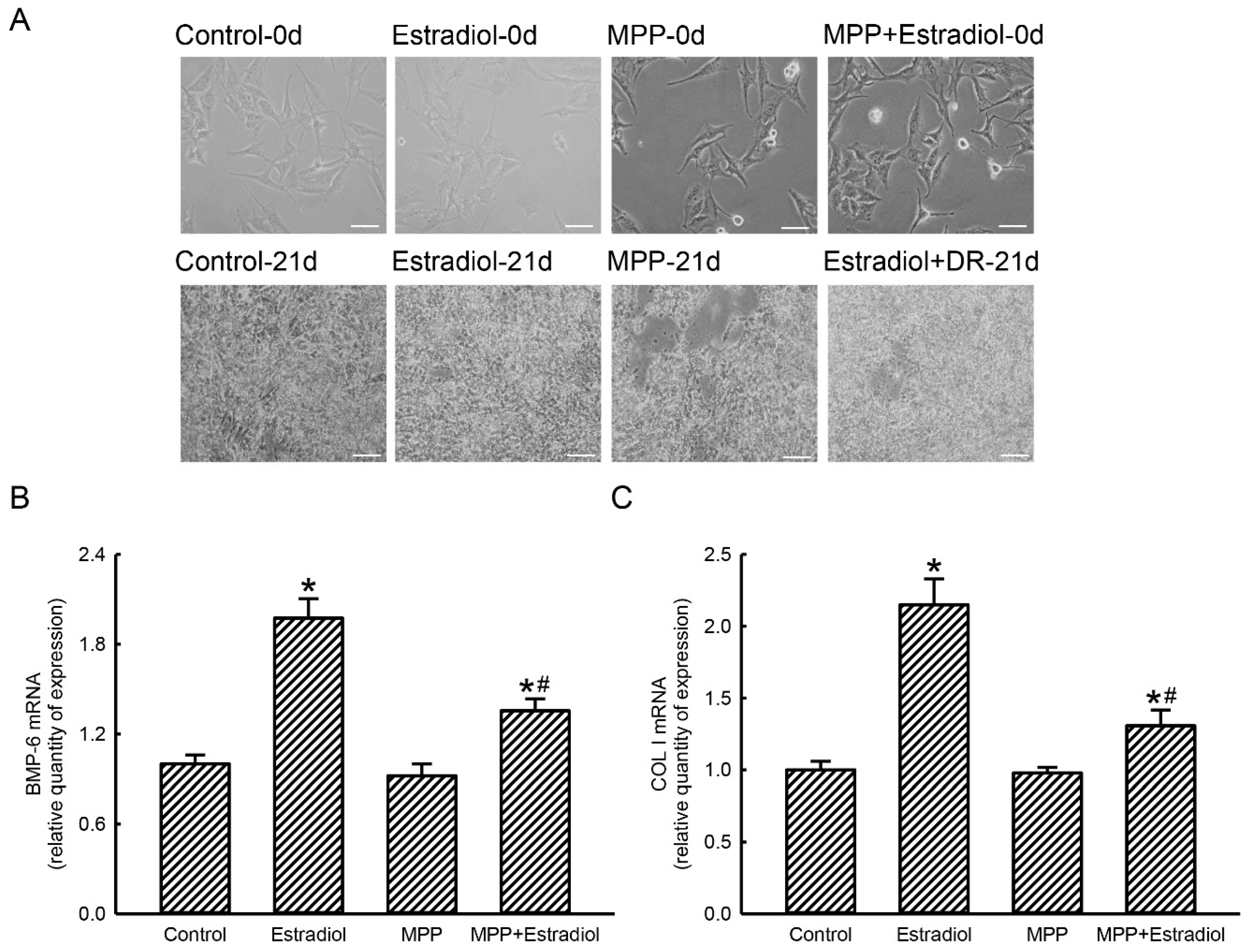 Molecules 25 02876 g005 Molecules 25 02876 g005