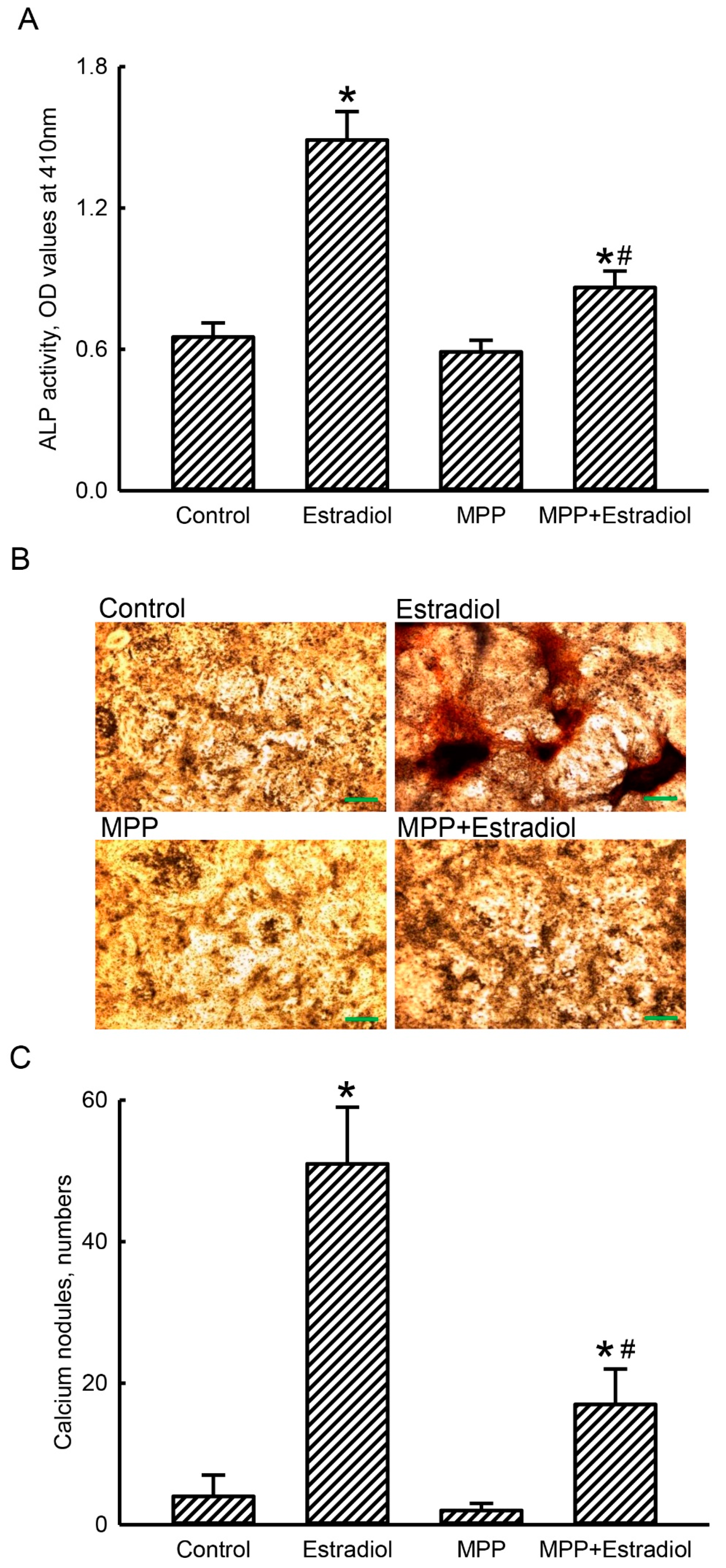 Molecules 25 02876 g006 Molecules 25 02876 g006