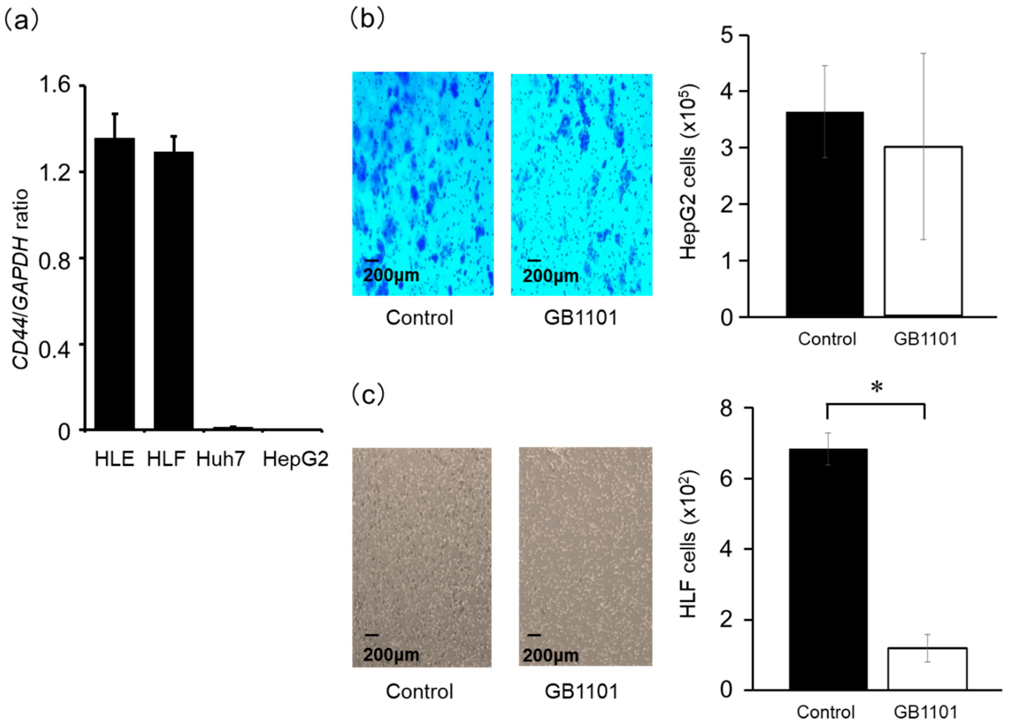 Molecules 25 02883 g003 Molecules 25 02883 g003