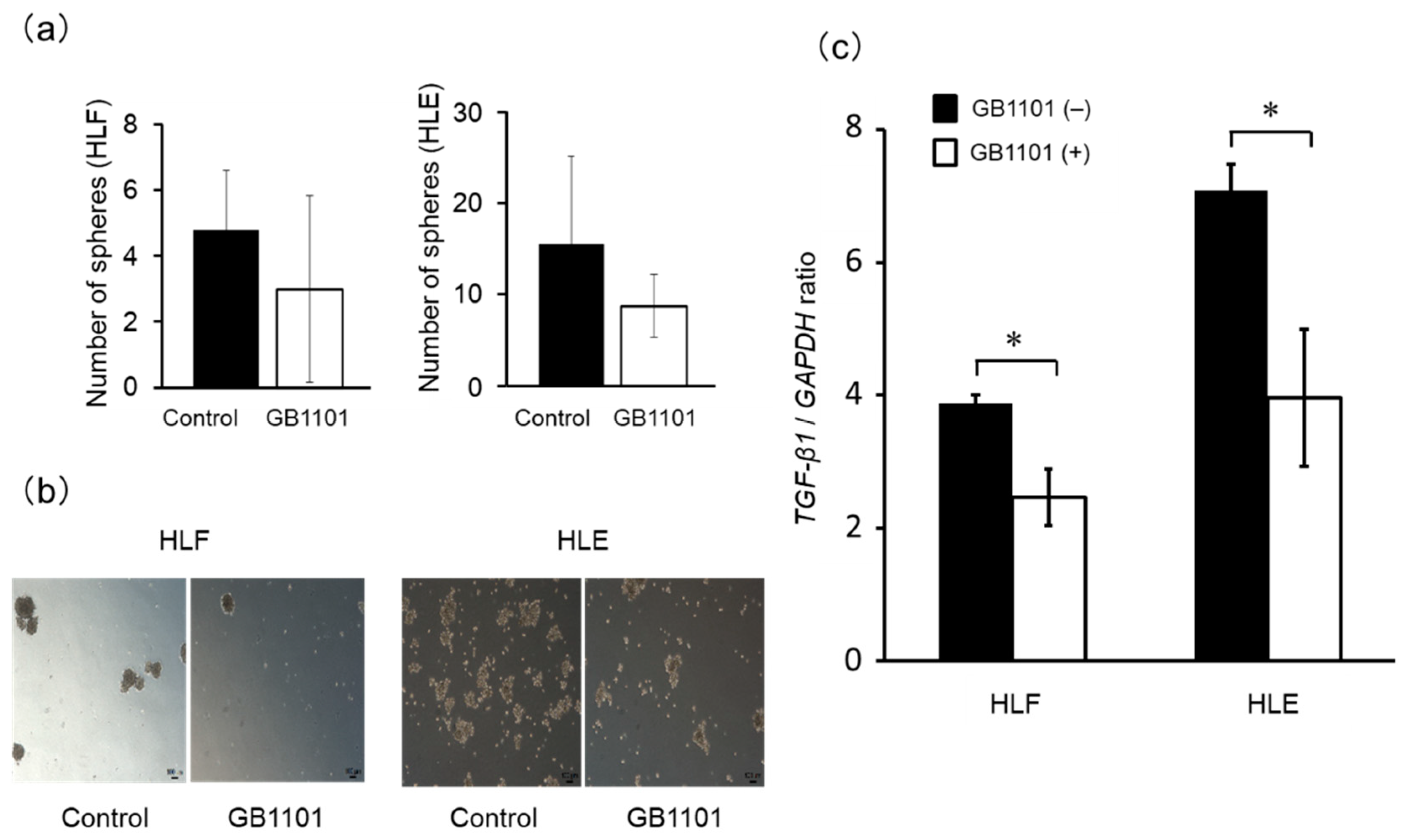 Molecules 25 02883 g004 Molecules 25 02883 g004
