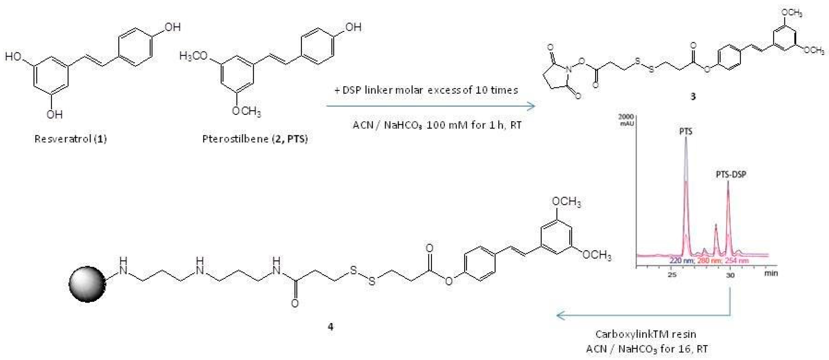 Molecules 25 02885 g001 Molecules 25 02885 g001